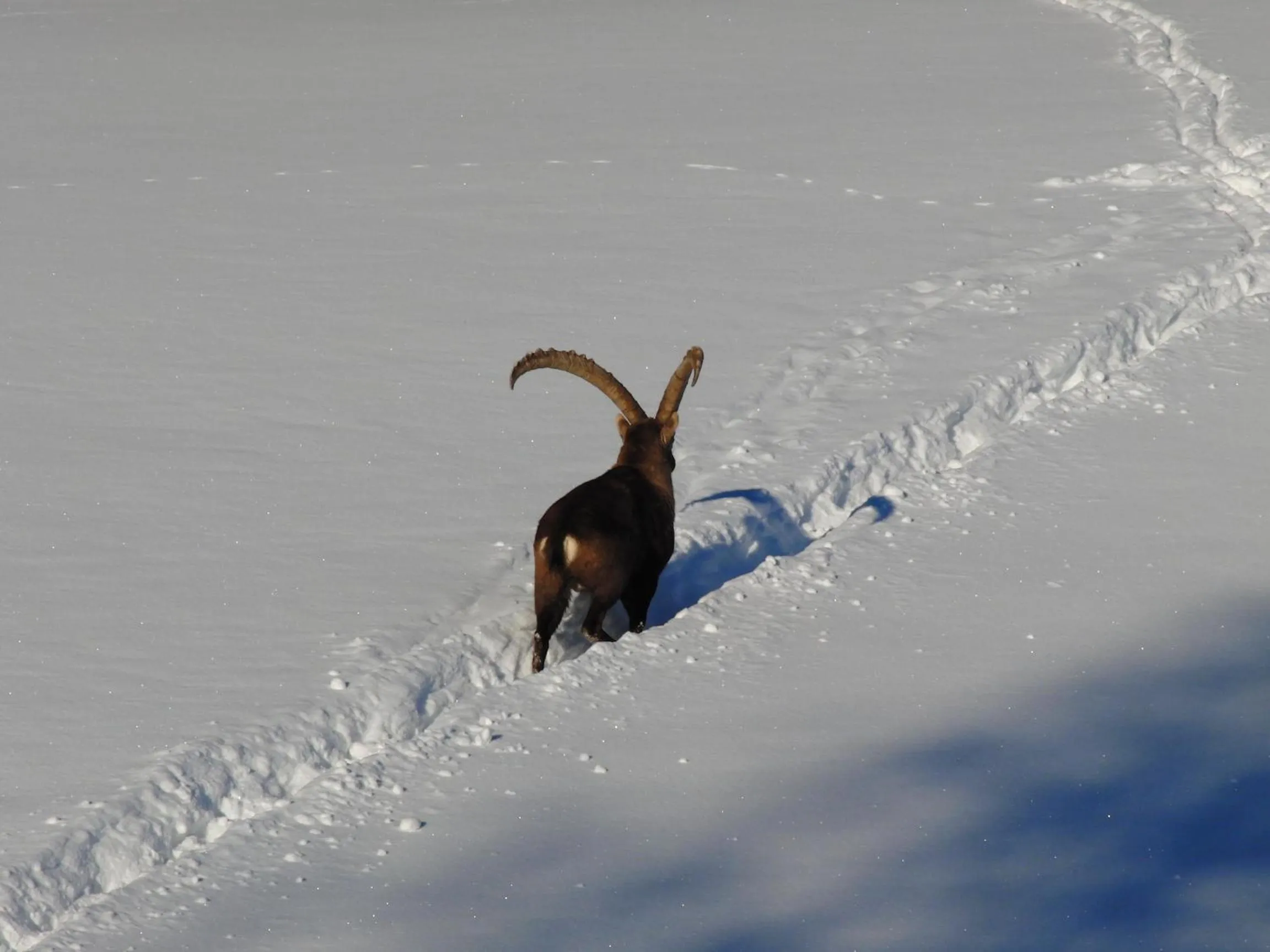 Day in Hotel Ramsaueralm