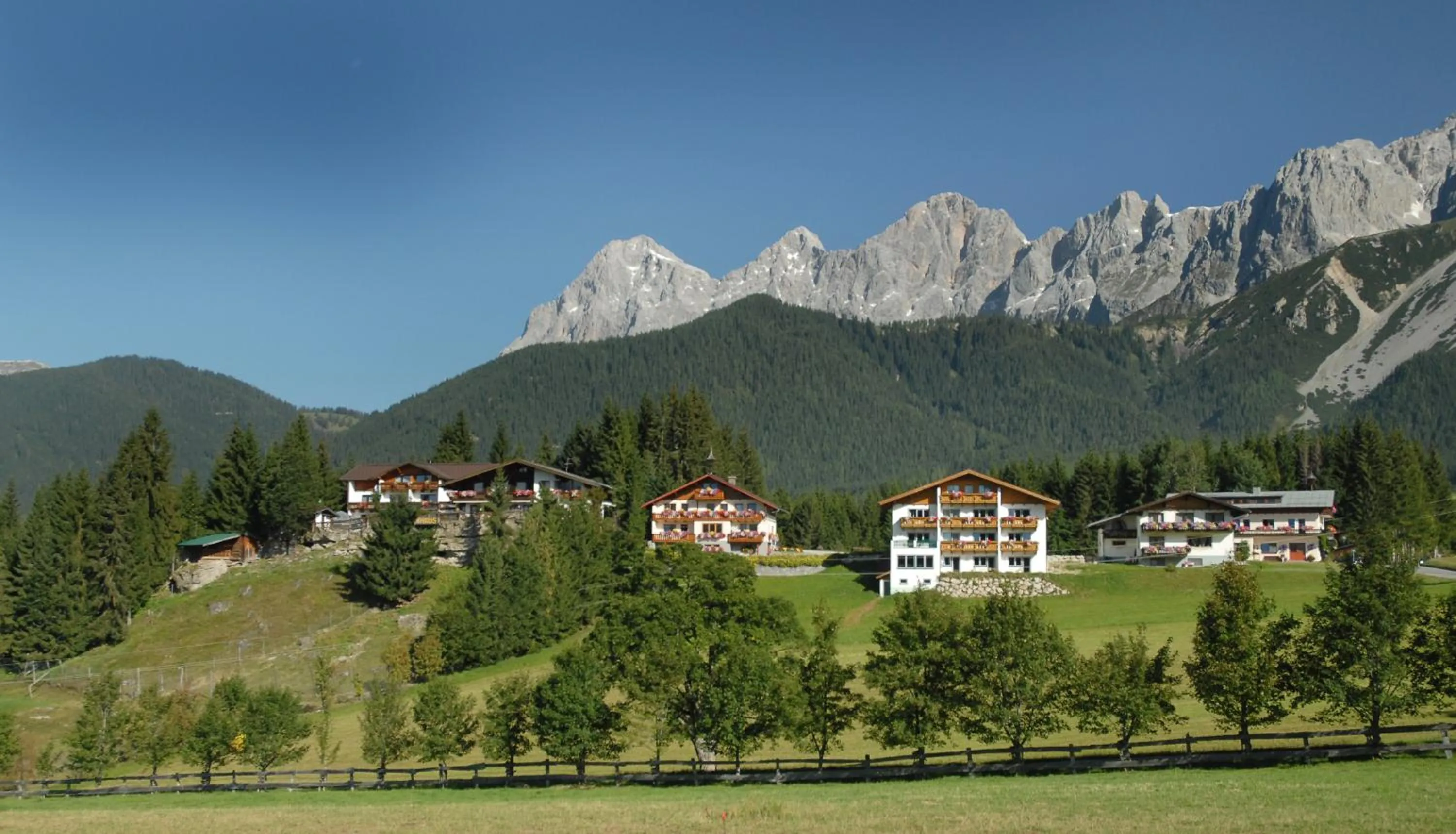 Area and facilities in Hotel Ramsaueralm