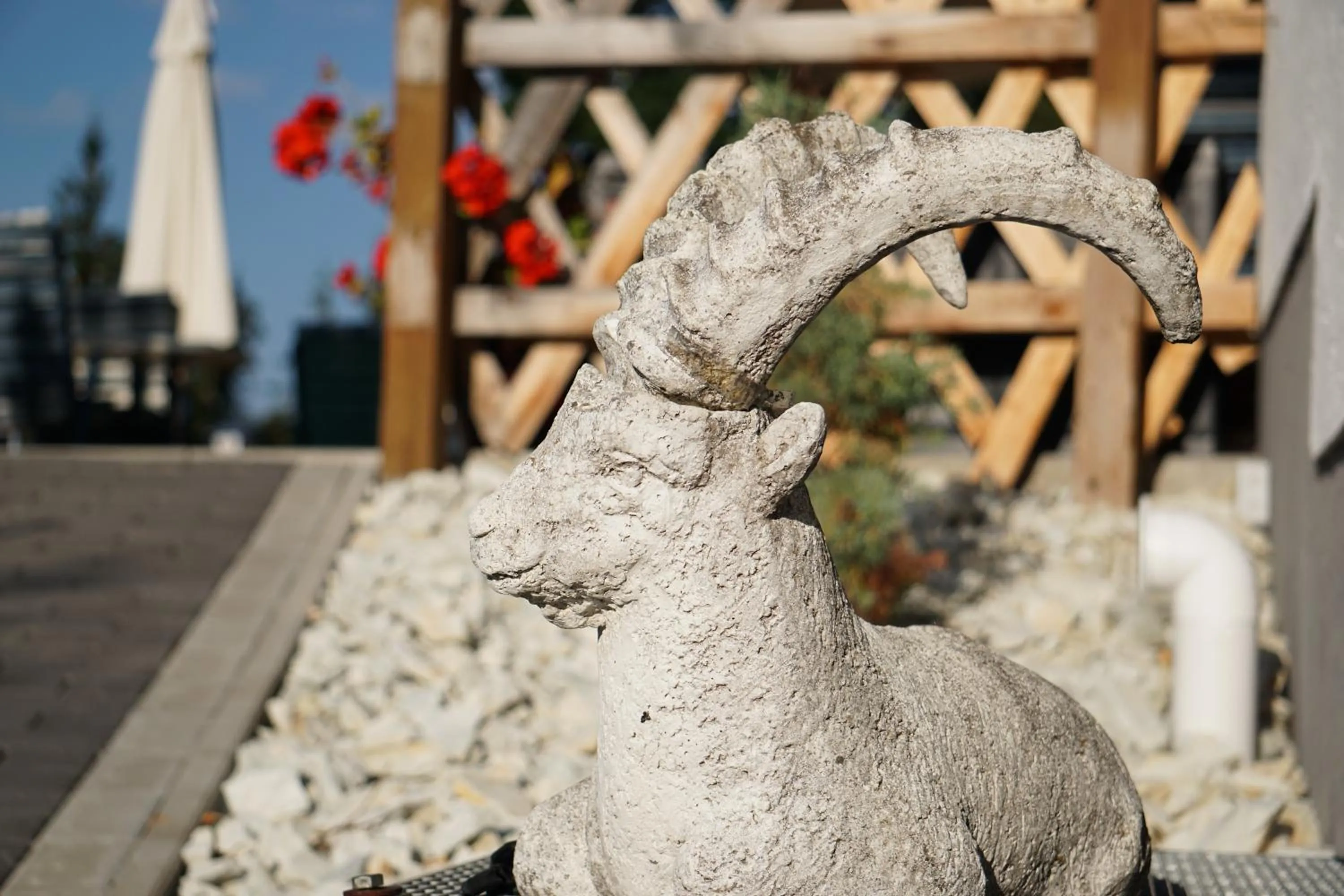 Off site in Hotel Ramsaueralm