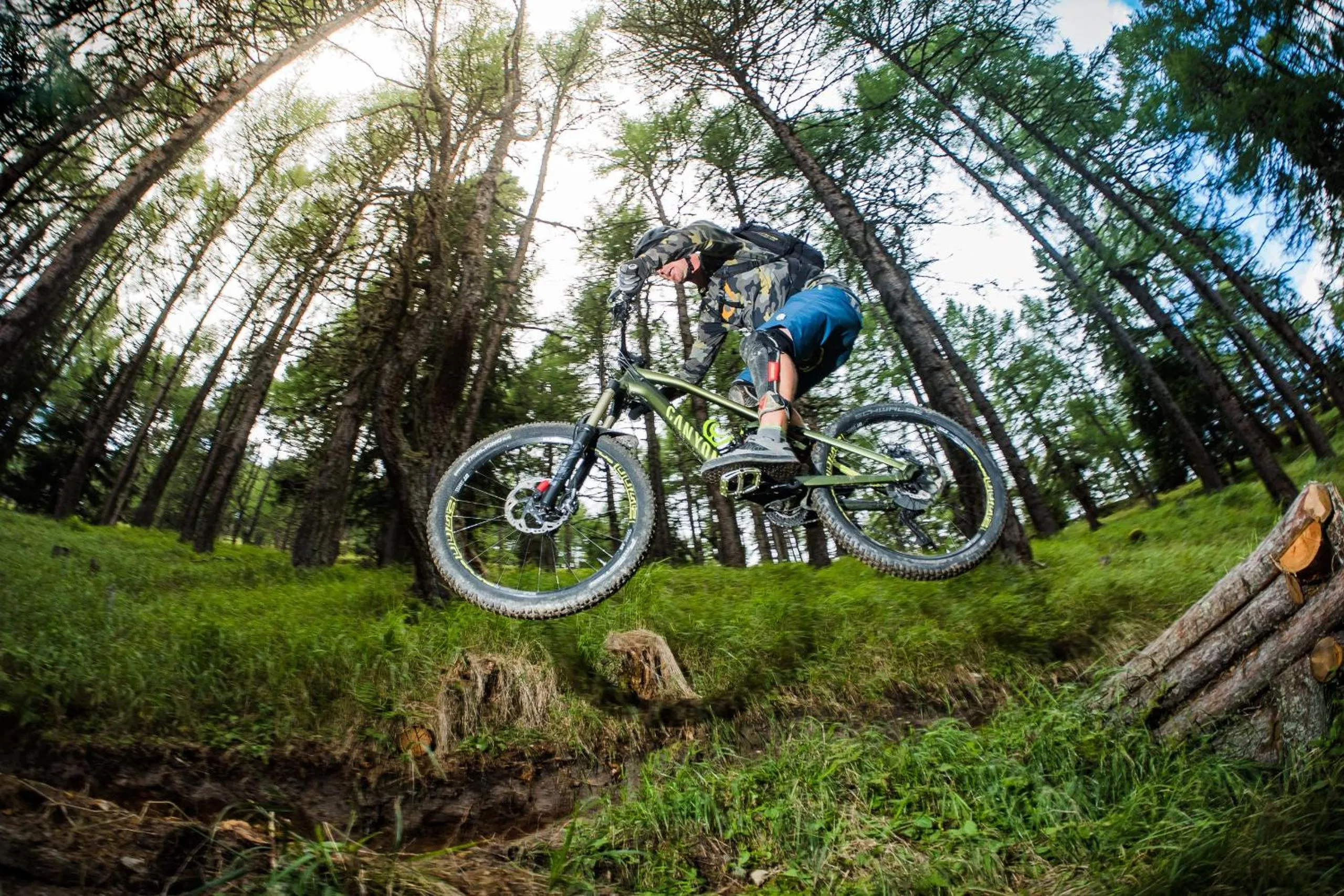 Spring in Hotel Weiler - Aktiv & Tradition