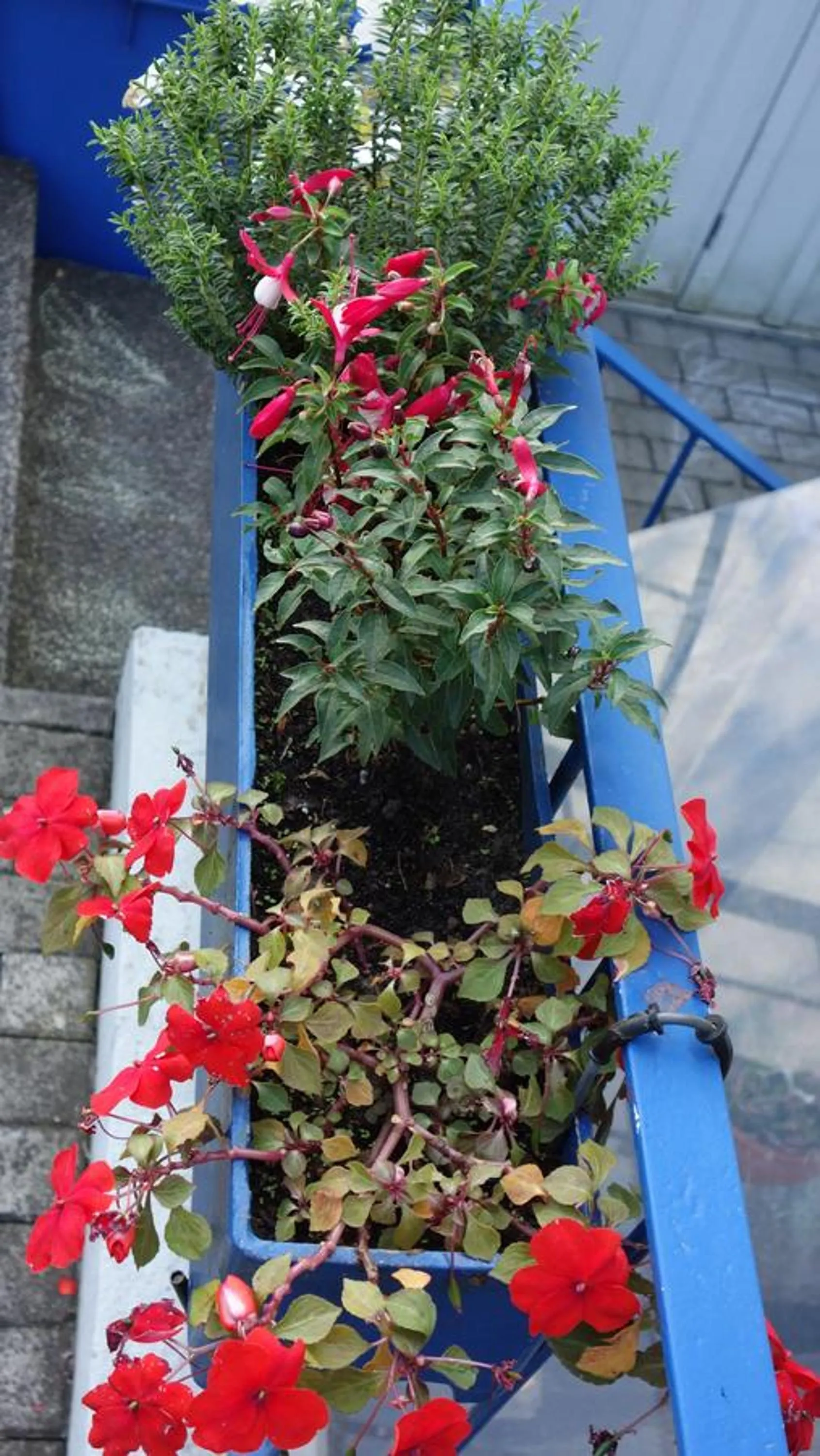 Property building in Nürnberg Apart - Business Apartment