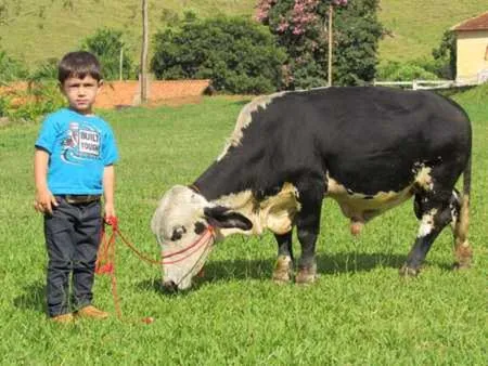 Activities in Hotel Fazenda Topada