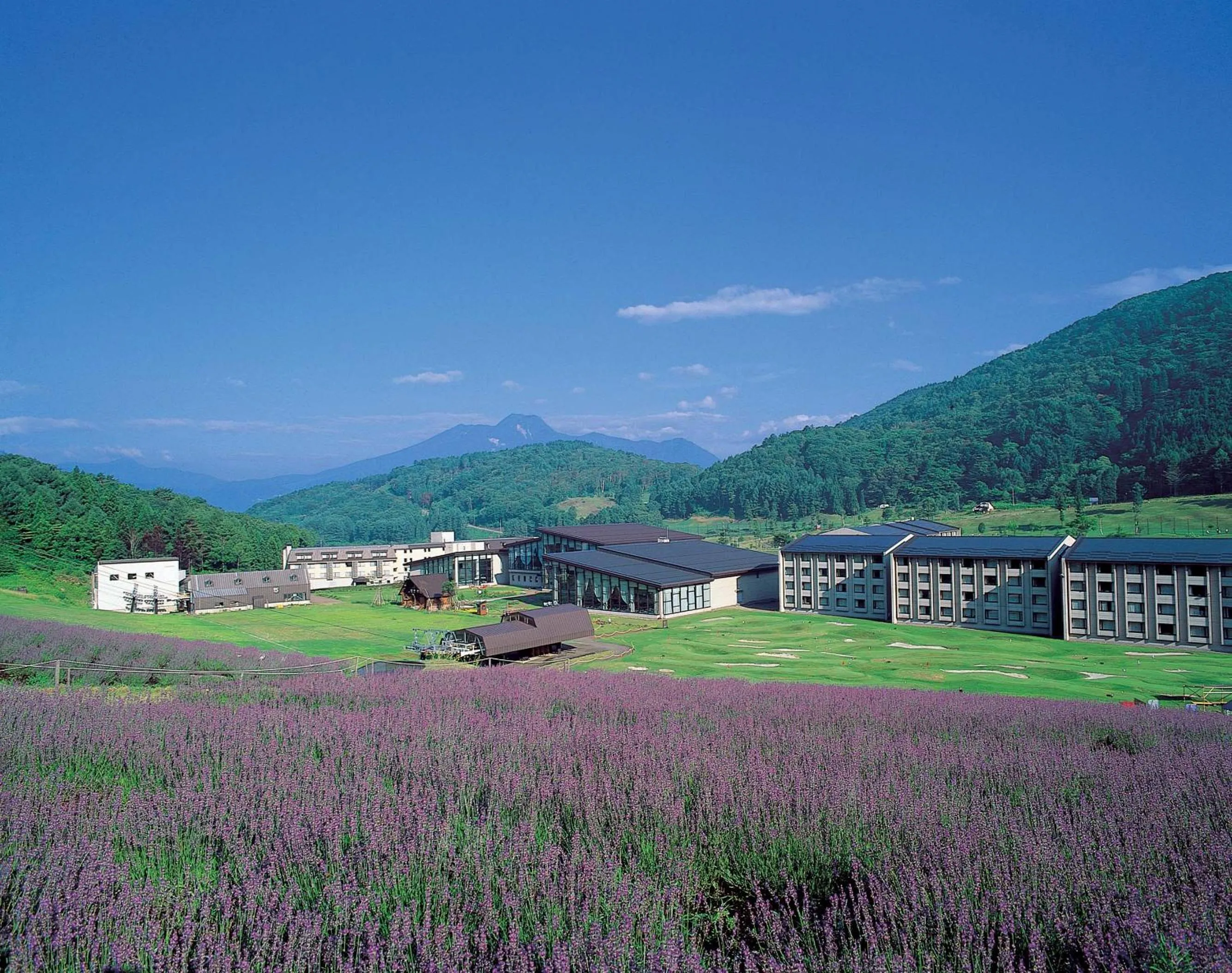 Neighbourhood in Hotel Tangram