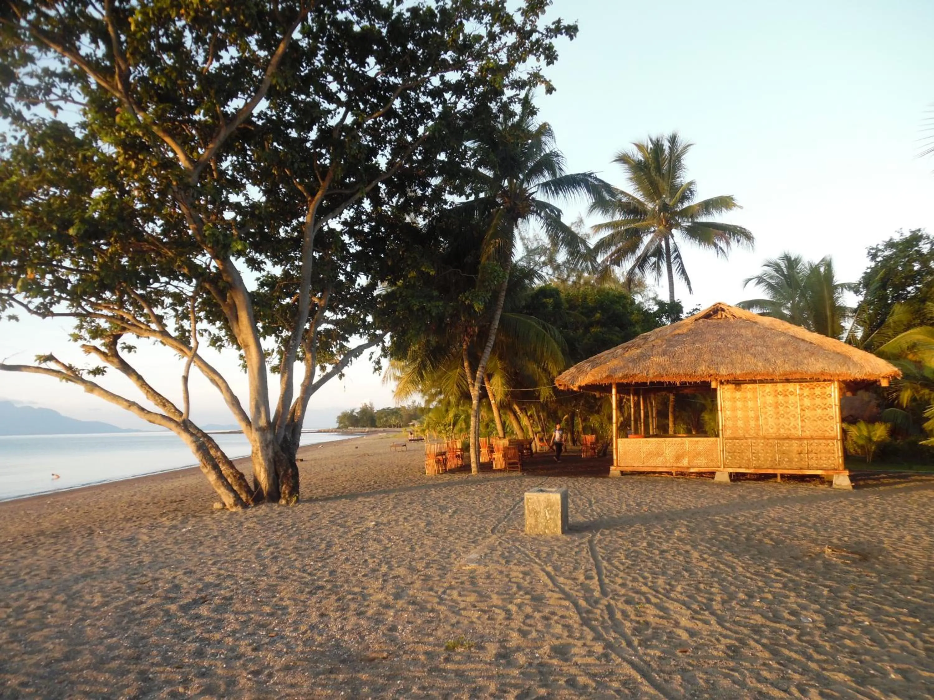 Restaurant/places to eat in Sea World Club Beach Resort & Dive Center, RESORT THAT SUPPORTS THE POOR