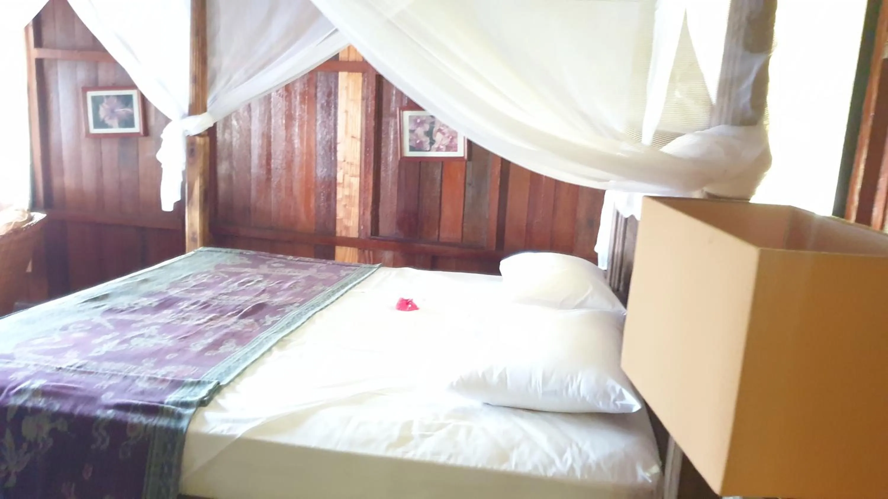 Bed in Sea World Club Beach Resort & Dive Center, RESORT THAT SUPPORTS THE POOR