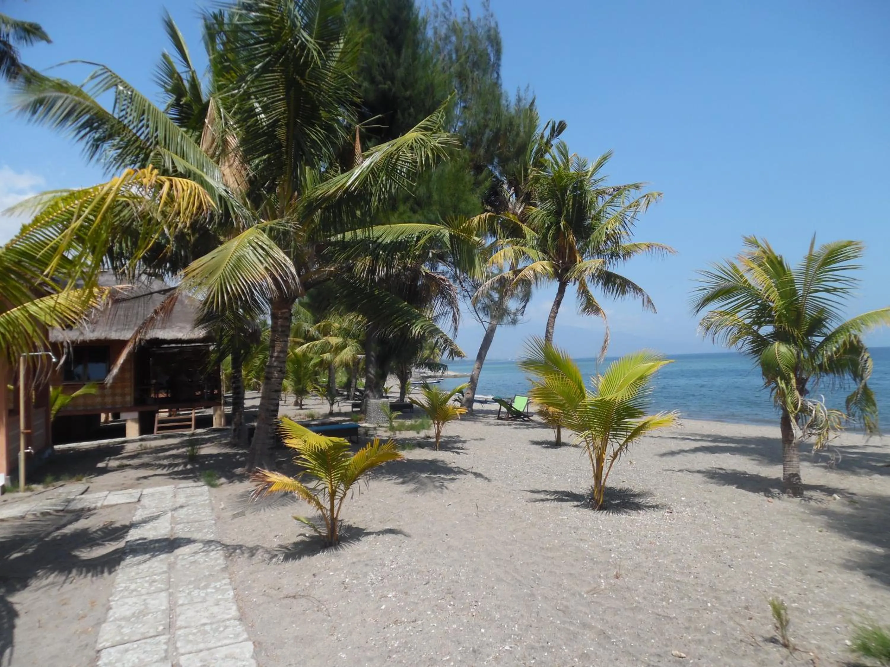 Property building in Sea World Club Beach Resort & Dive Center, RESORT THAT SUPPORTS THE POOR