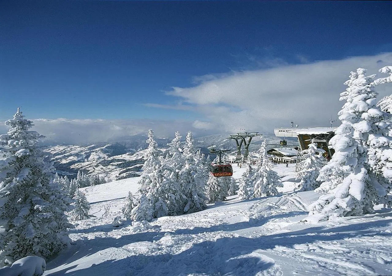 Skiing in Alpina Wagrain