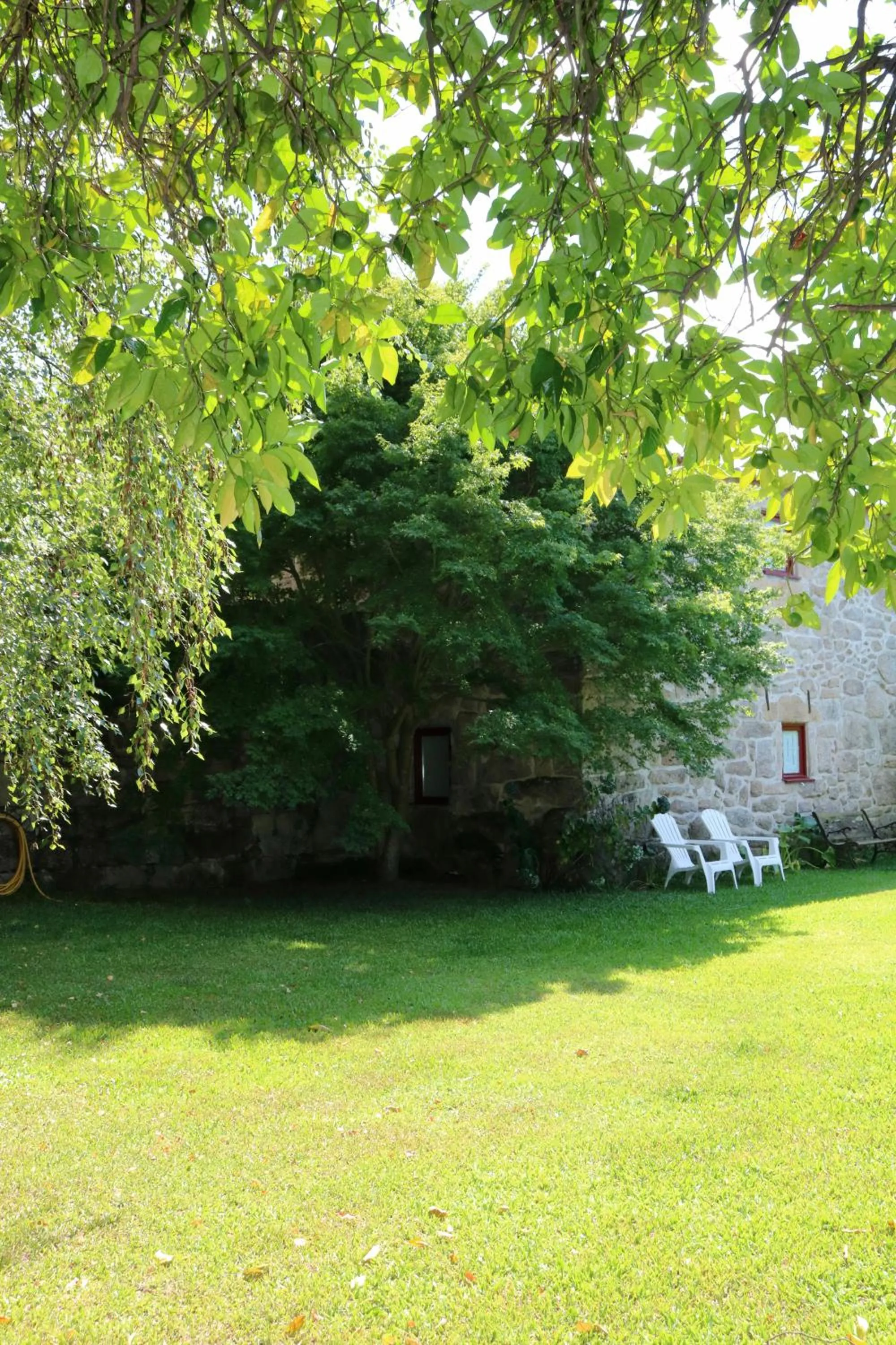 Garden in Casa da Eira