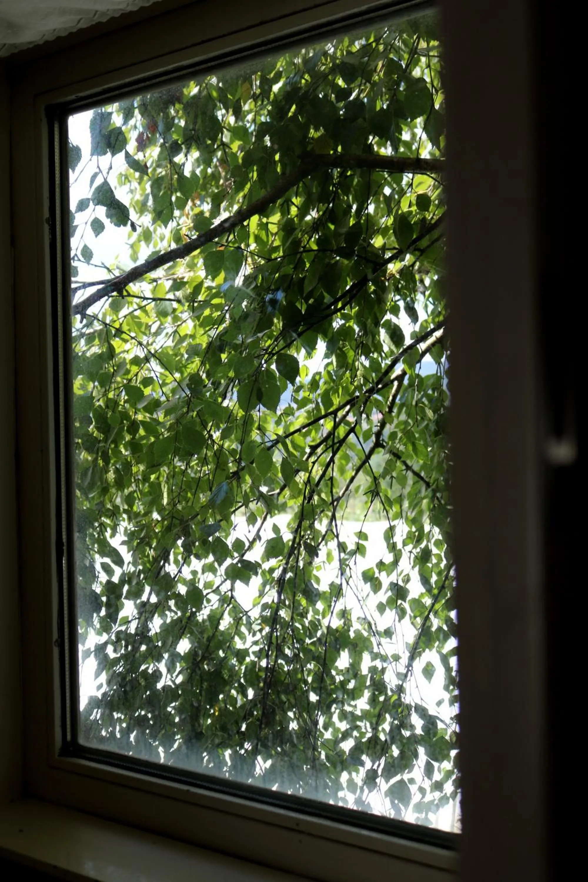 View (from property/room) in Casa da Eira