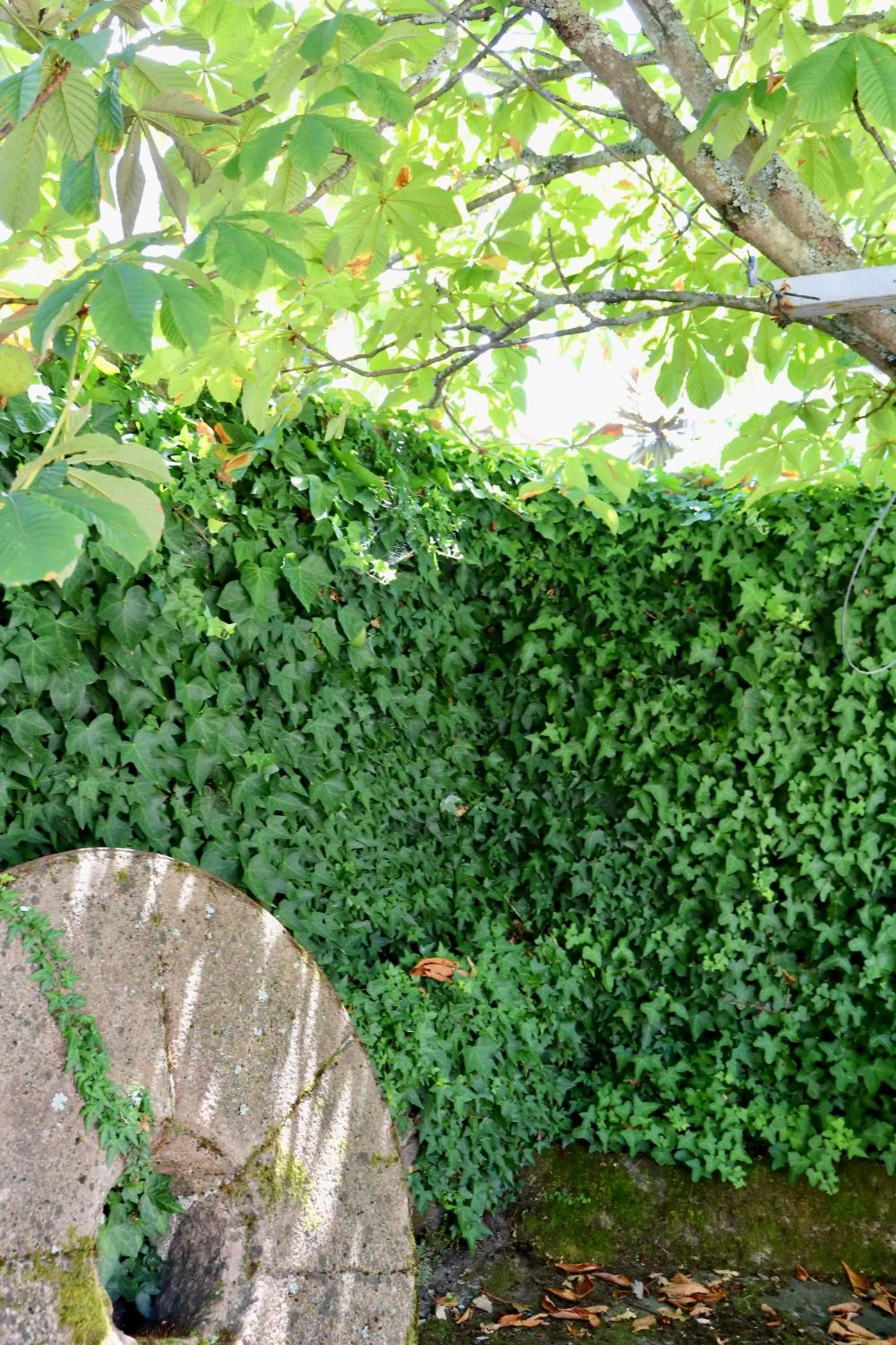 Garden in Casa da Eira