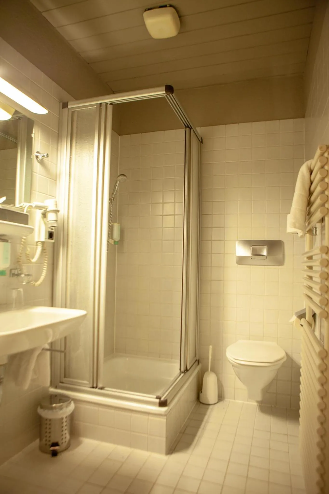 Bathroom in Walliserhof