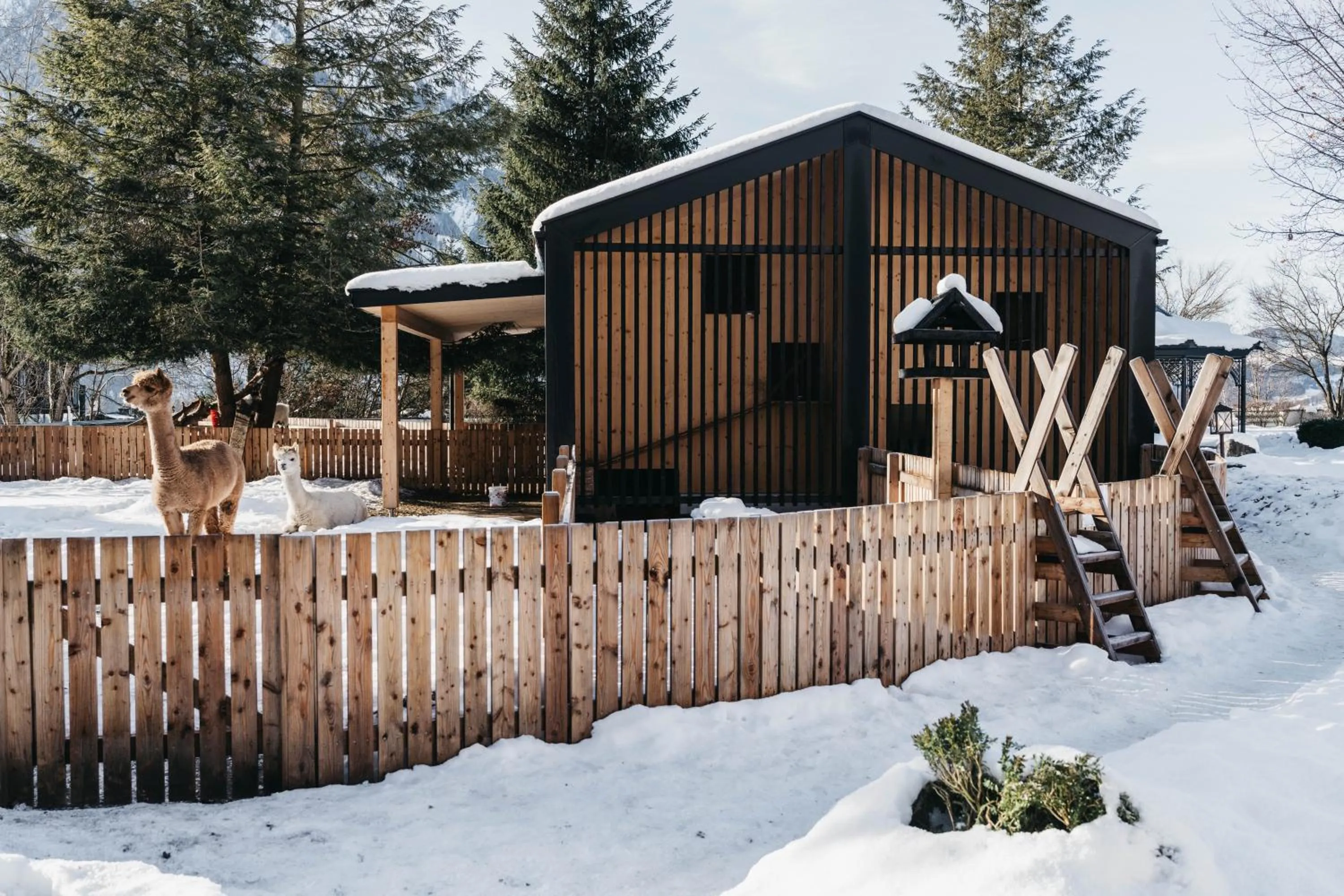 Animals in Hotel Oberforsthof