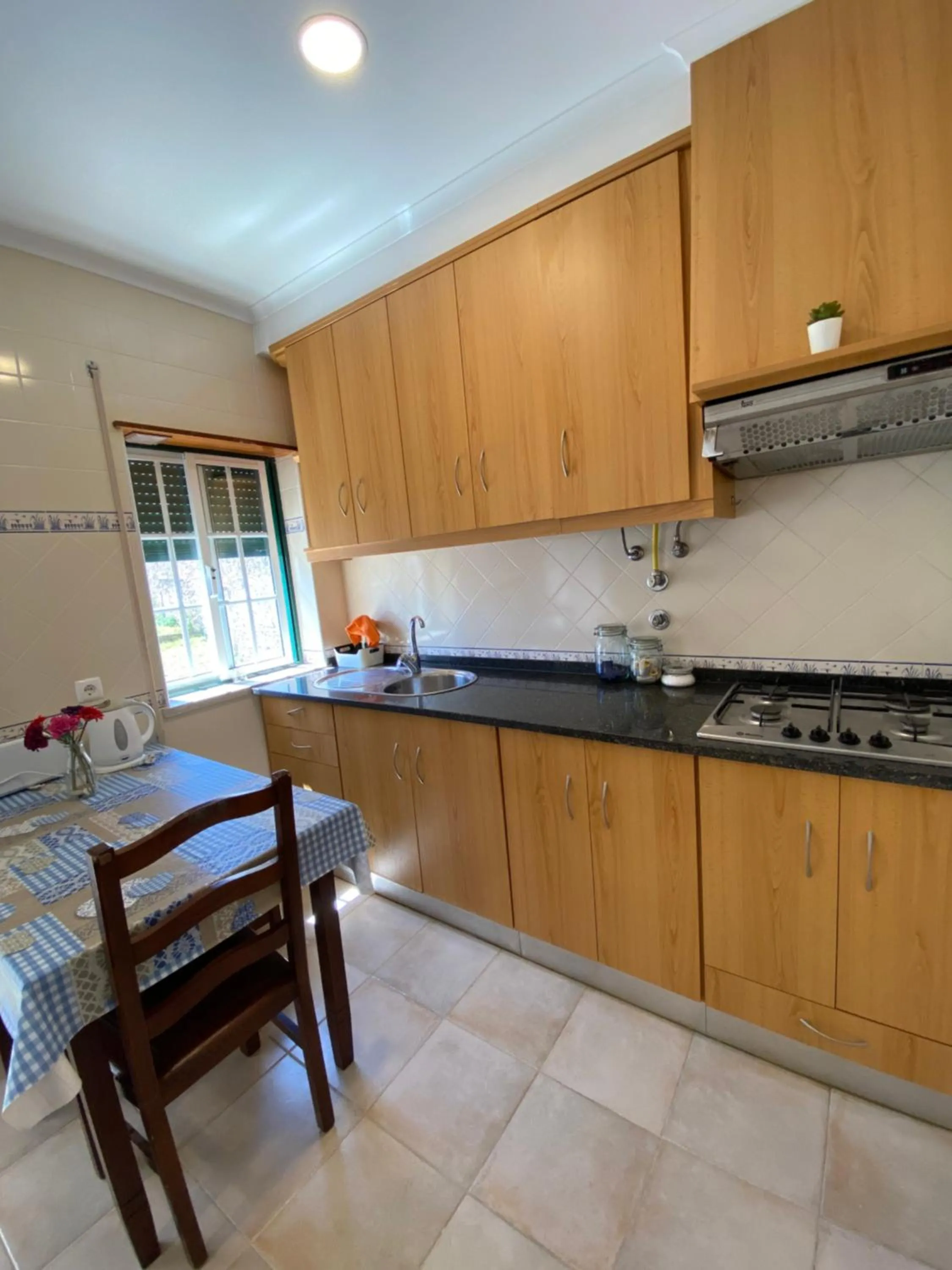 Kitchen or kitchenette in Vina's Place