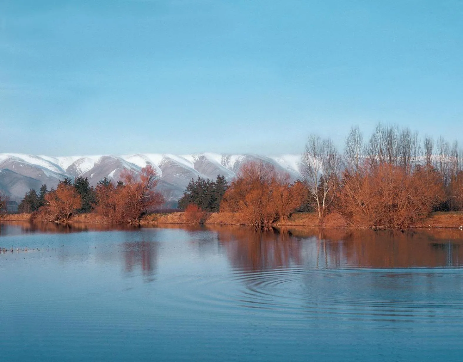 Other in Kempinski Summerland Hotel & Resort Beirut