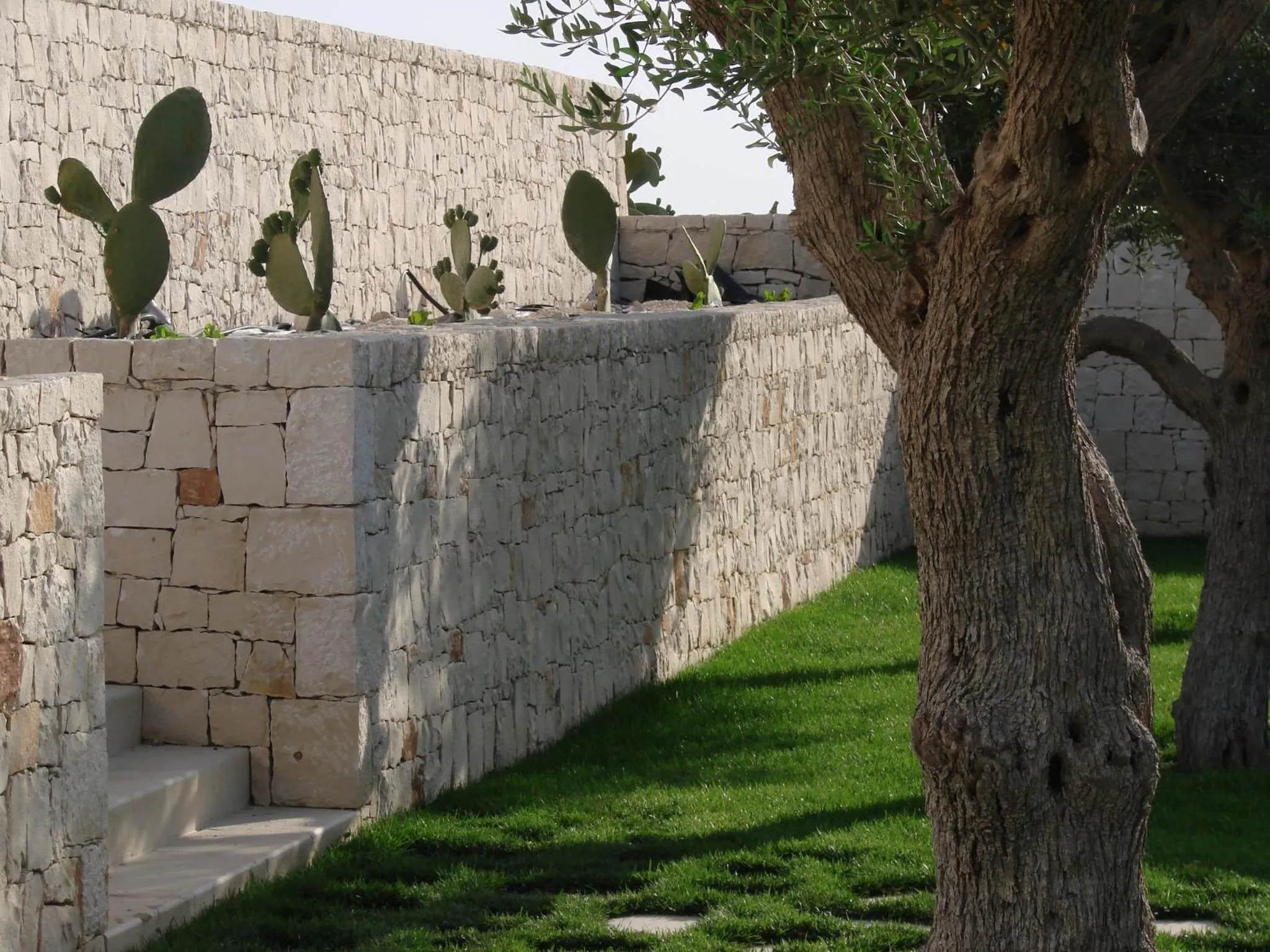 Garden view in Kinanto Bioresort