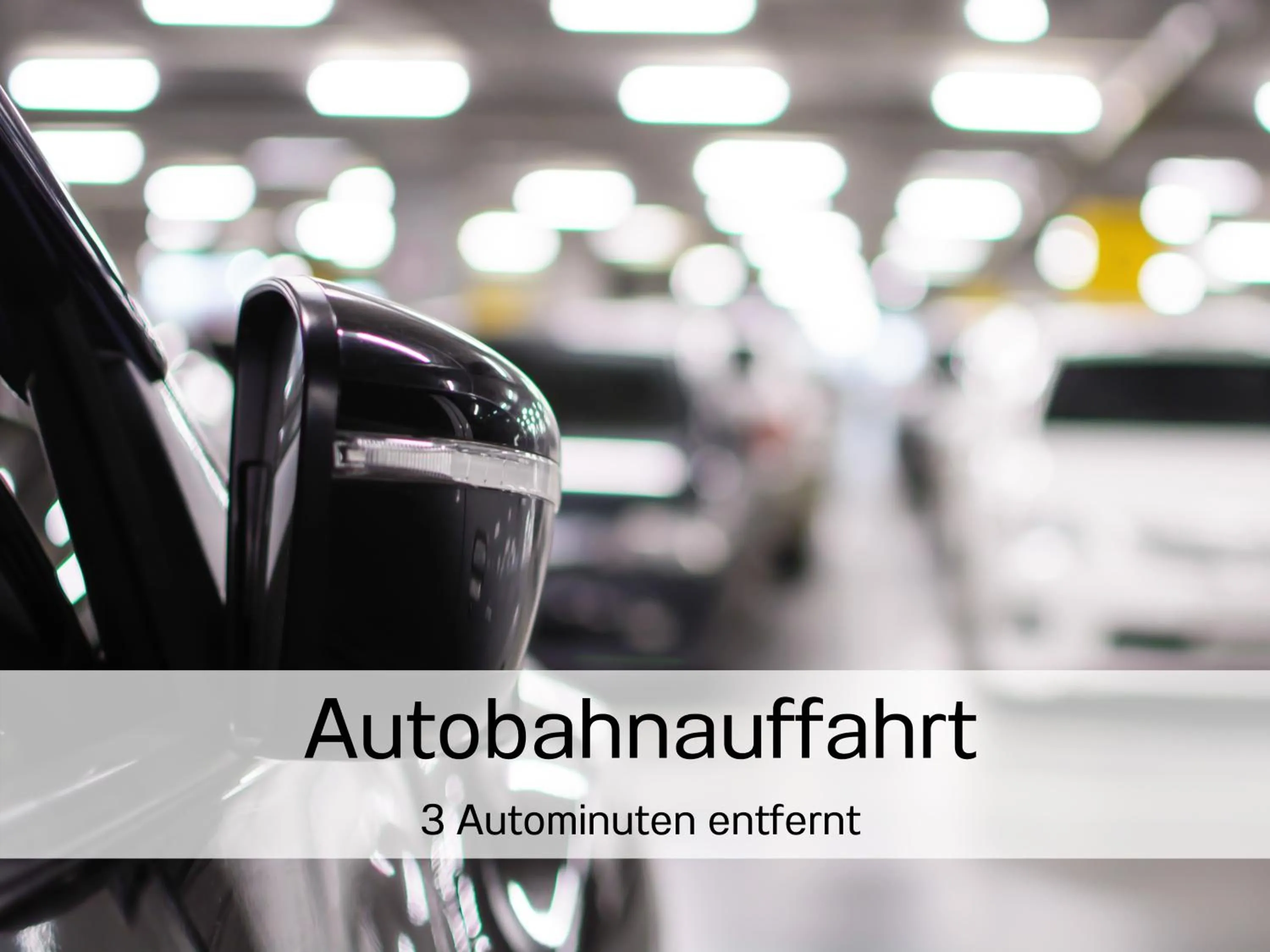 Area and facilities in Hotel Sarah