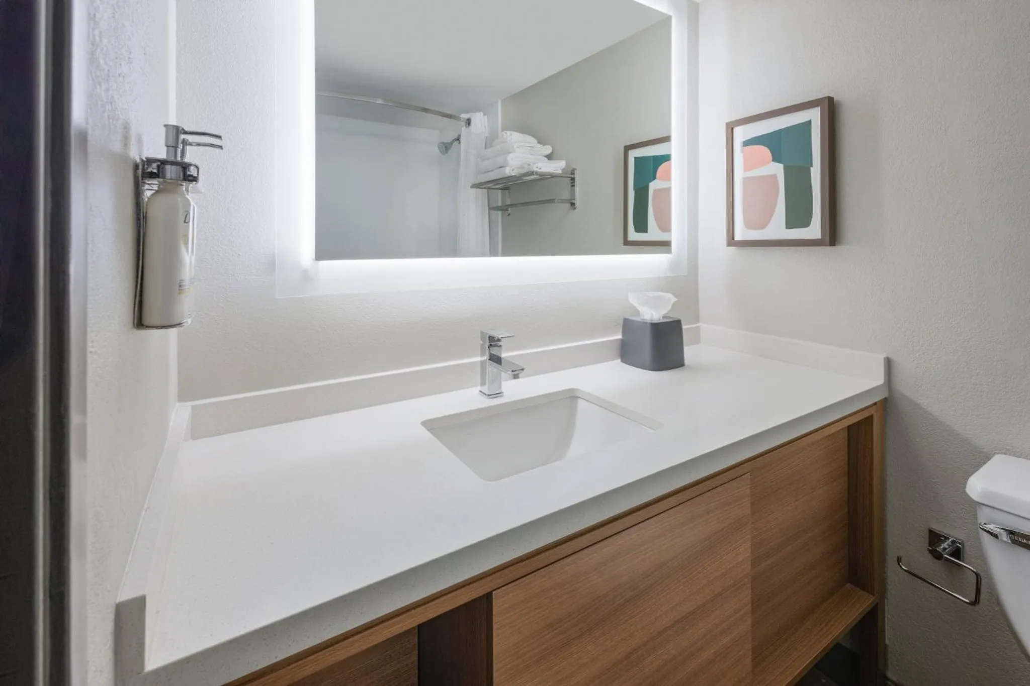 Bathroom in Holiday Inn Morgantown - Reading Area by IHG