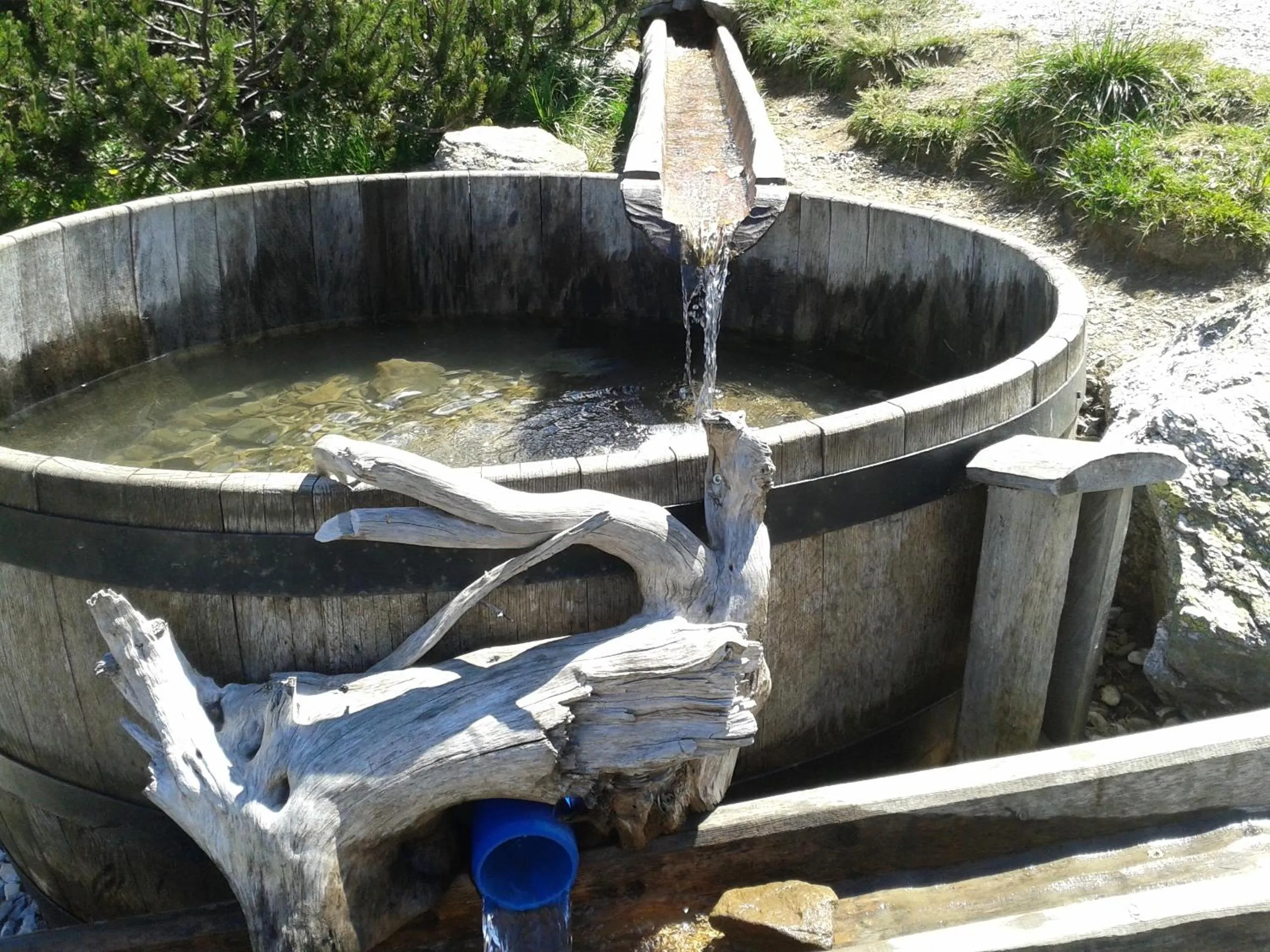 Area and facilities in Alpenhotel Marcius