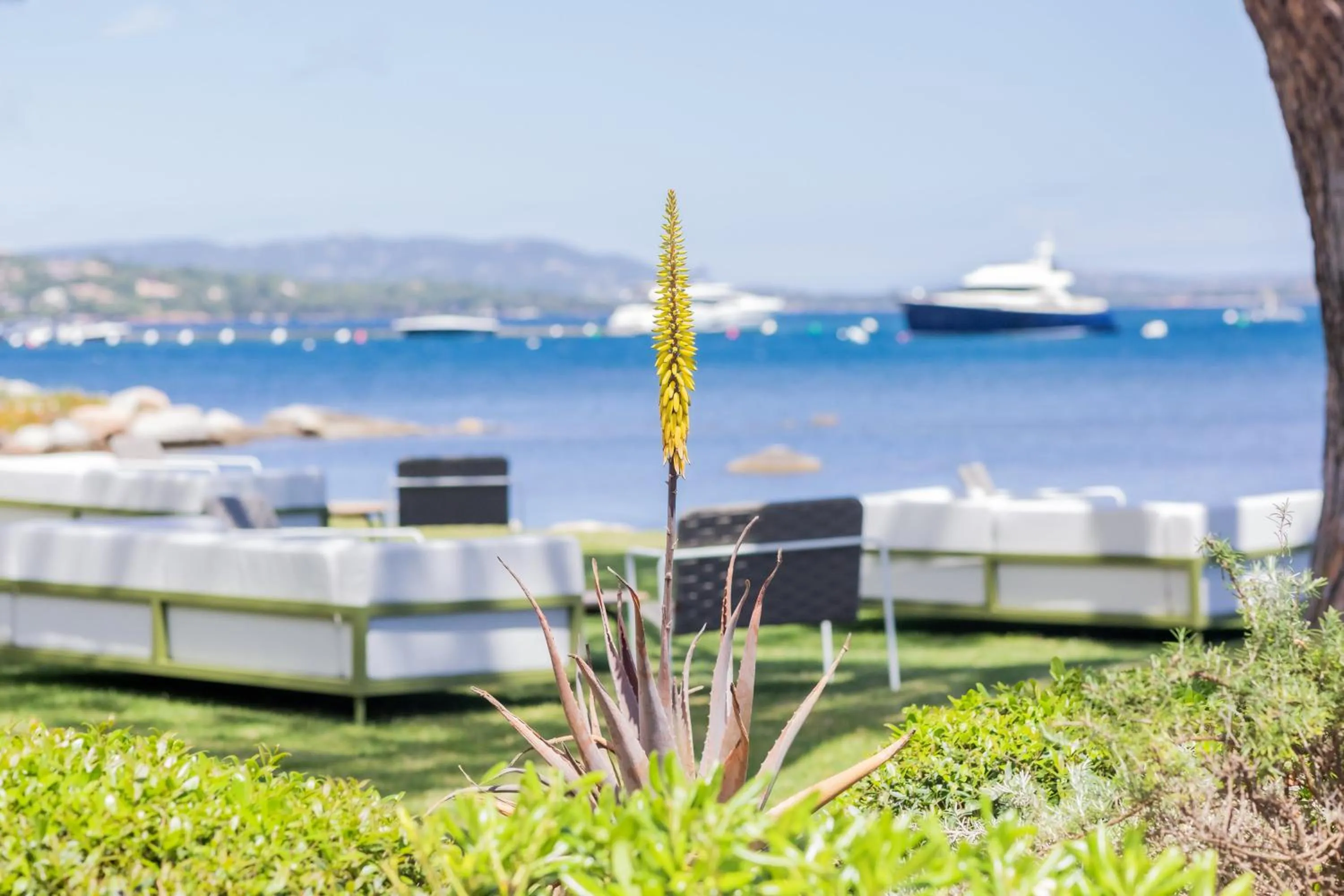 Patio in Casa Santini x Roc Seven