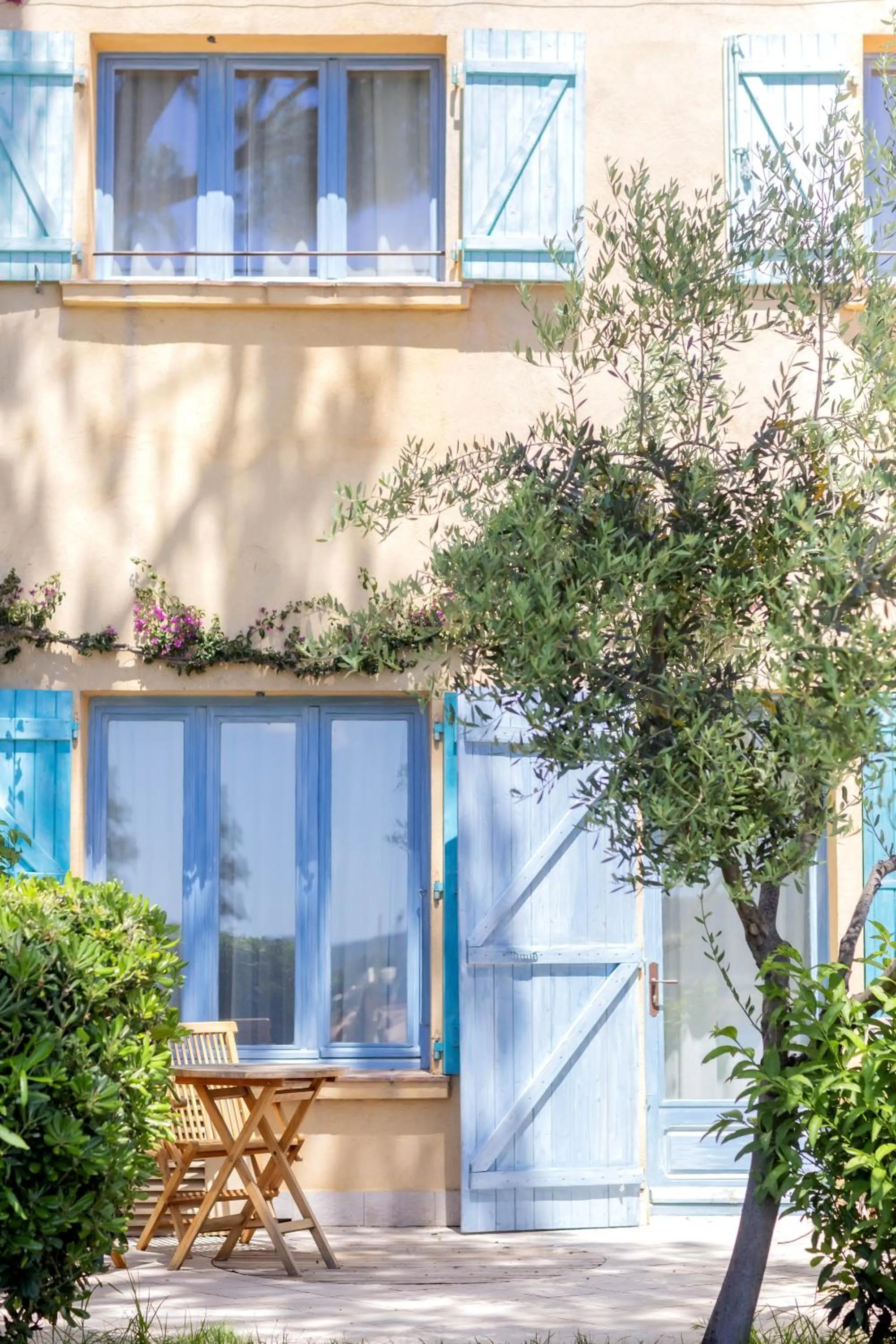 Garden in Casa Santini x Roc Seven