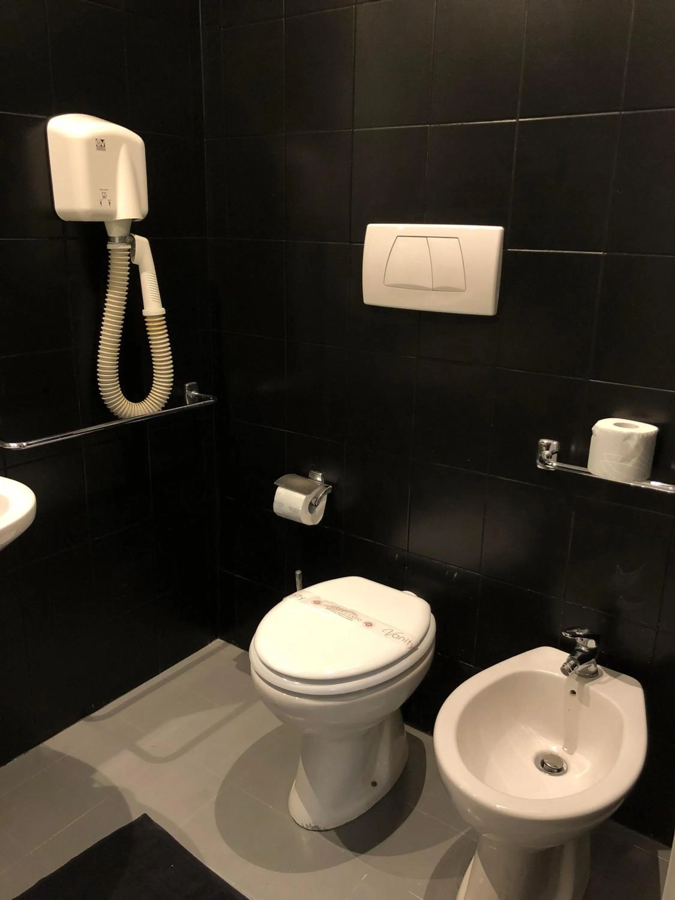 Toilet in Hotel Paris