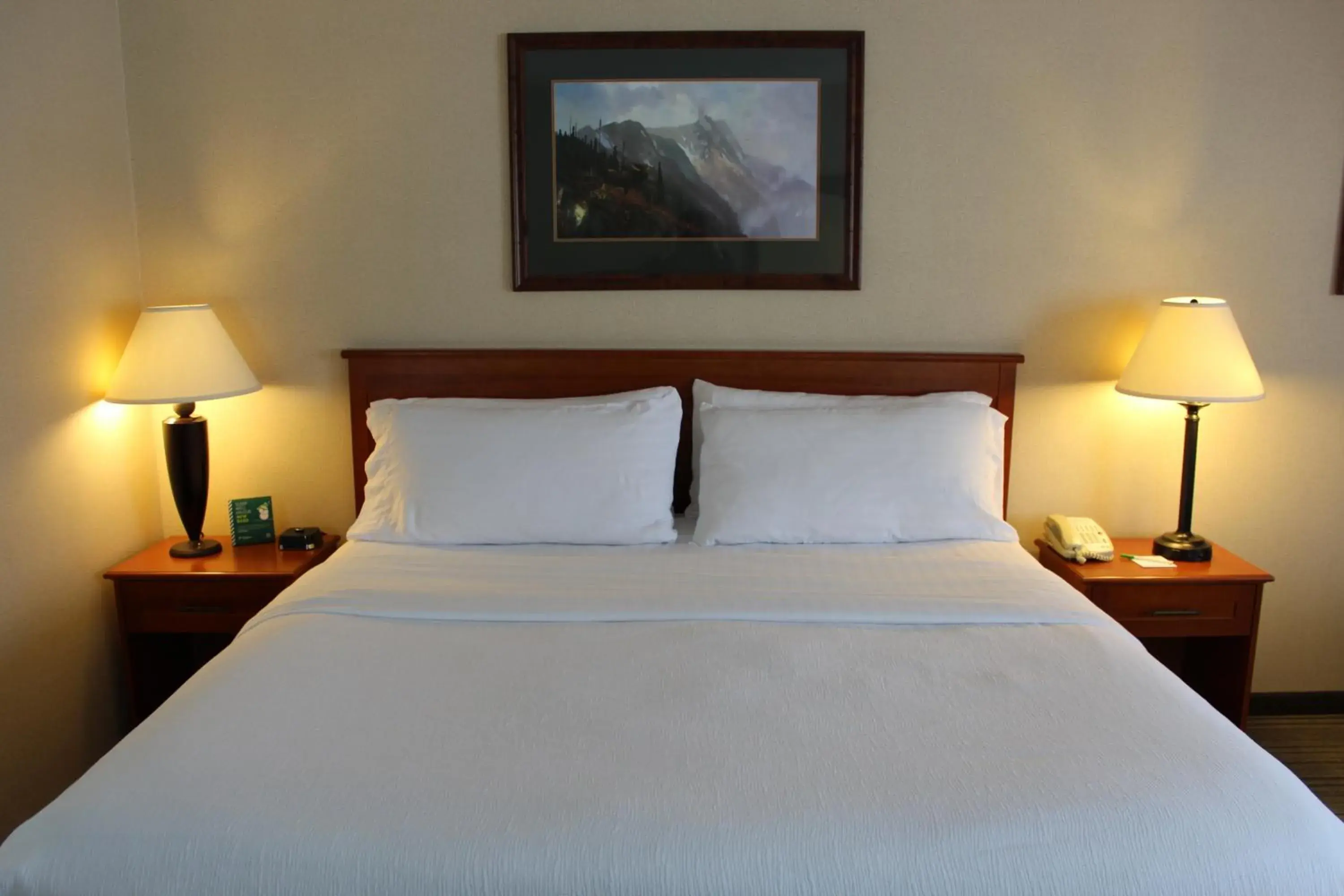 Photo of the whole room, Bed in 3 Rivers Hotel