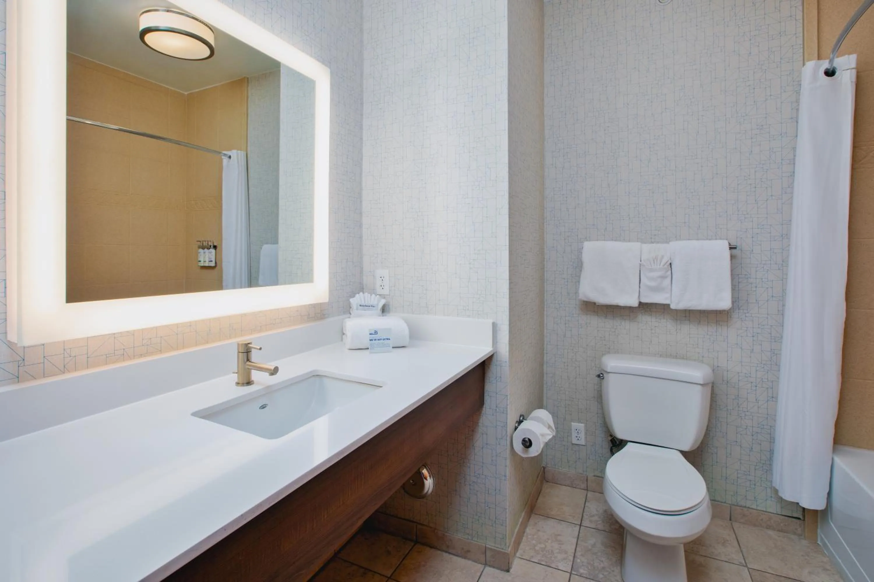 Bathroom in Holiday Inn Express Hotel & Suites Auburn Hills by IHG