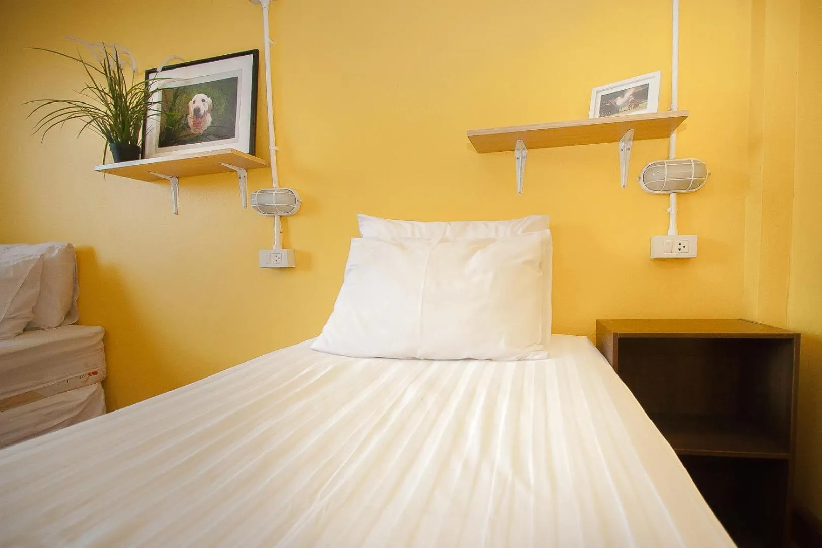 Photo of the whole room, Bed in Thai Thai Hostel