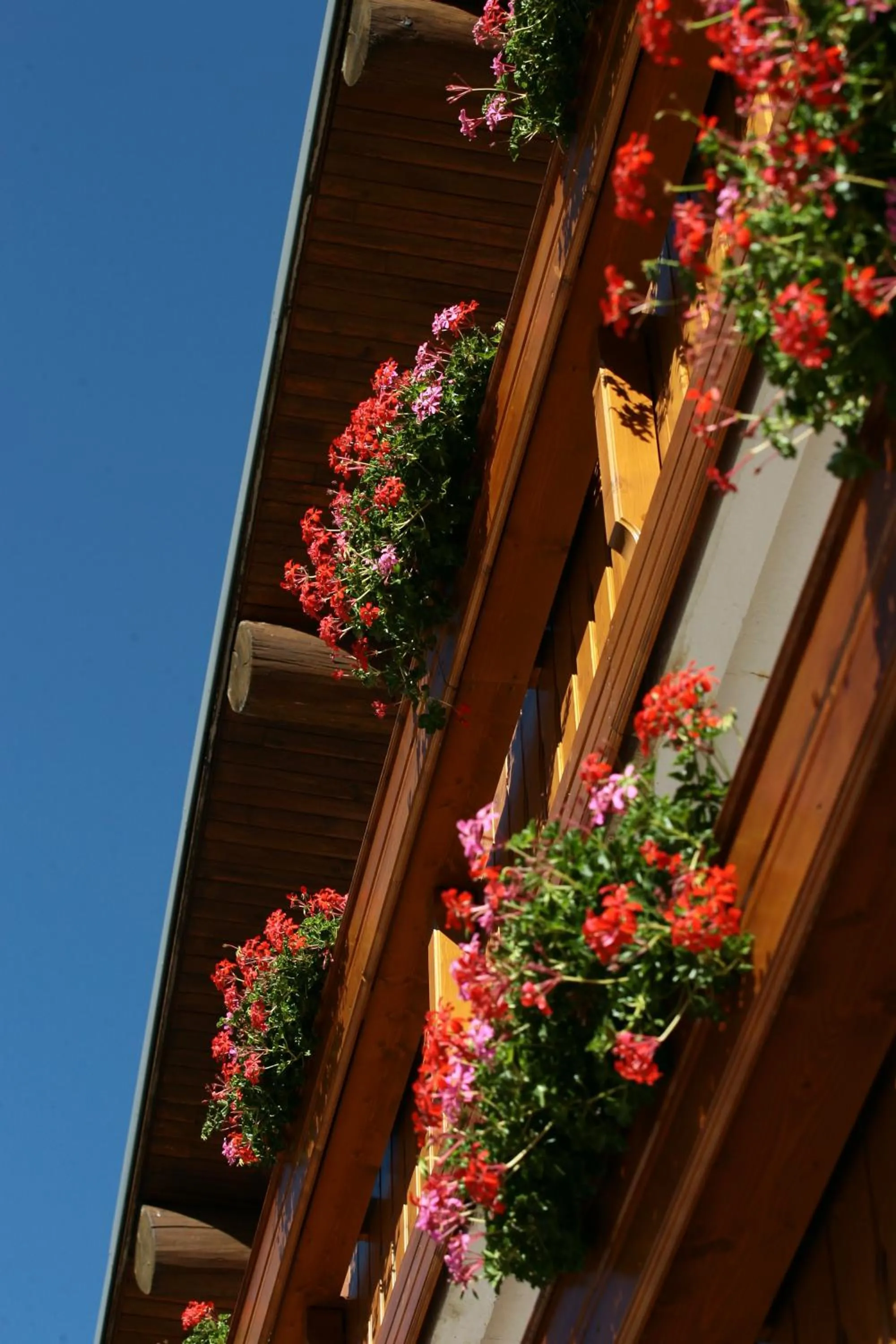 Logis Hotel Les Playes