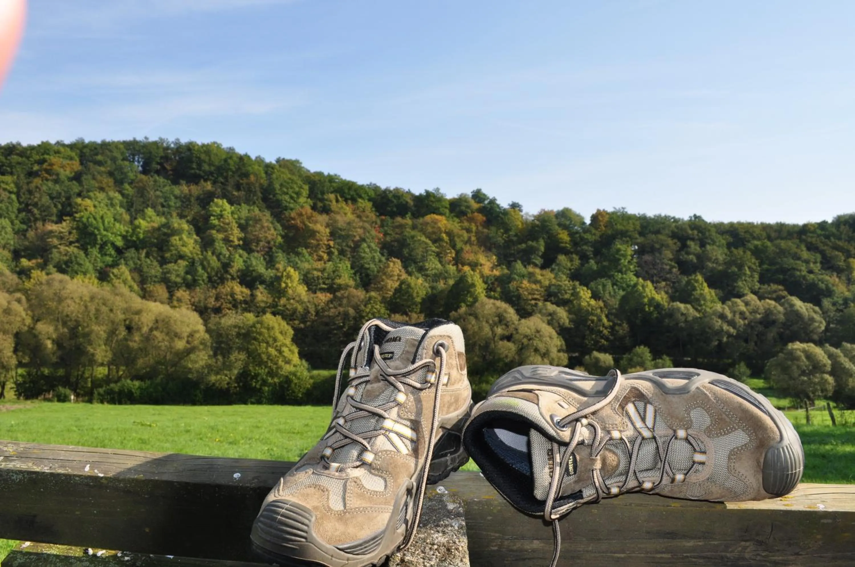Hiking in Hotel Haus Wiesengrund