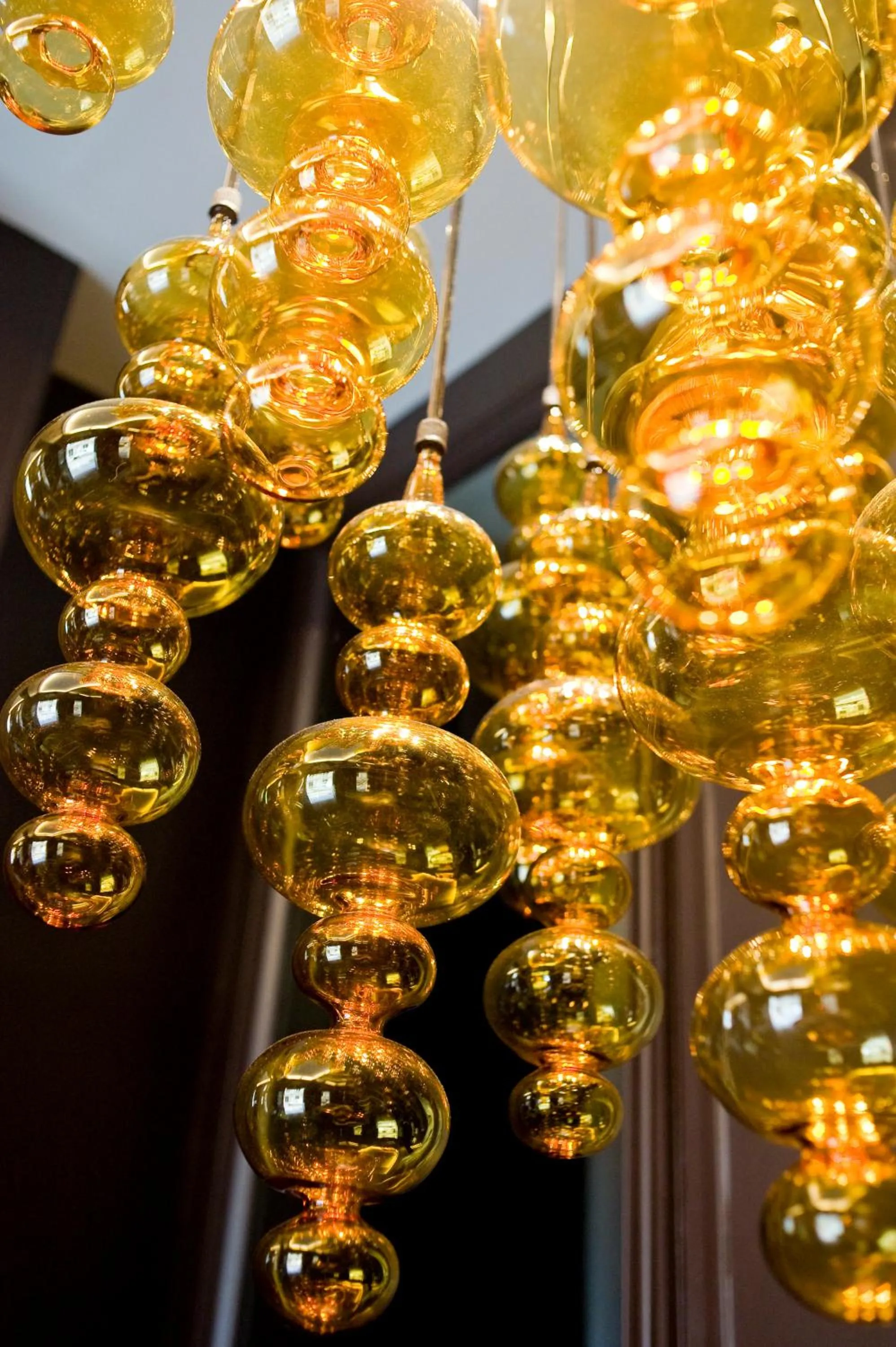 Other in Chambellan Morgane