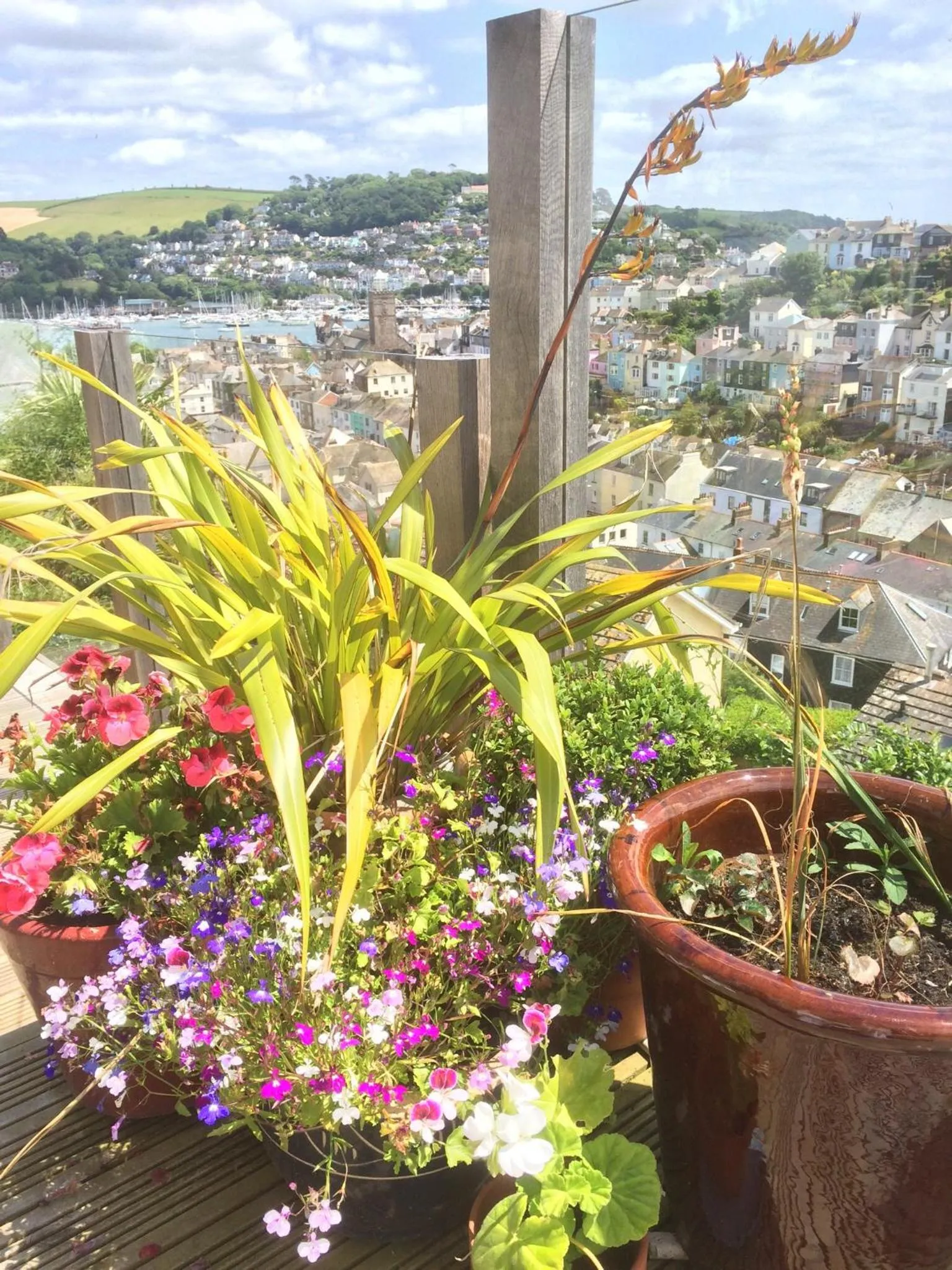 Decorative detail in Compass Rose