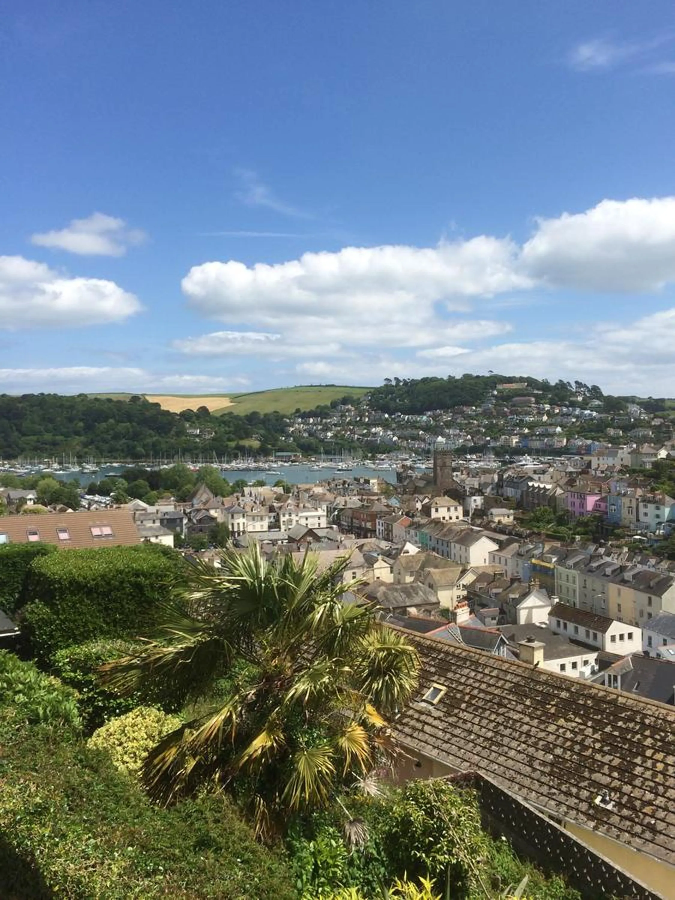 View (from property/room) in Compass Rose