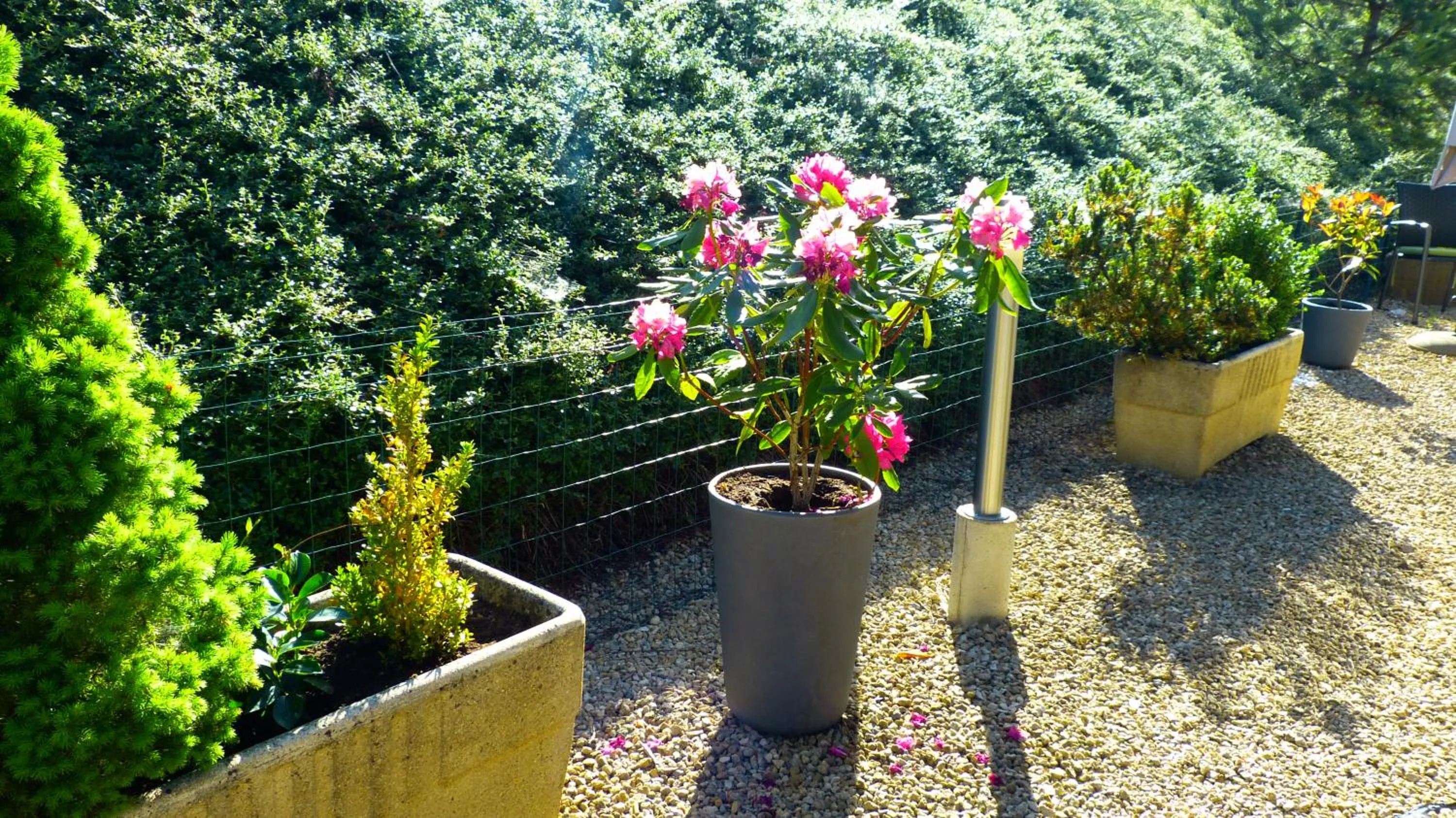 Natural landscape in Hotel Premium