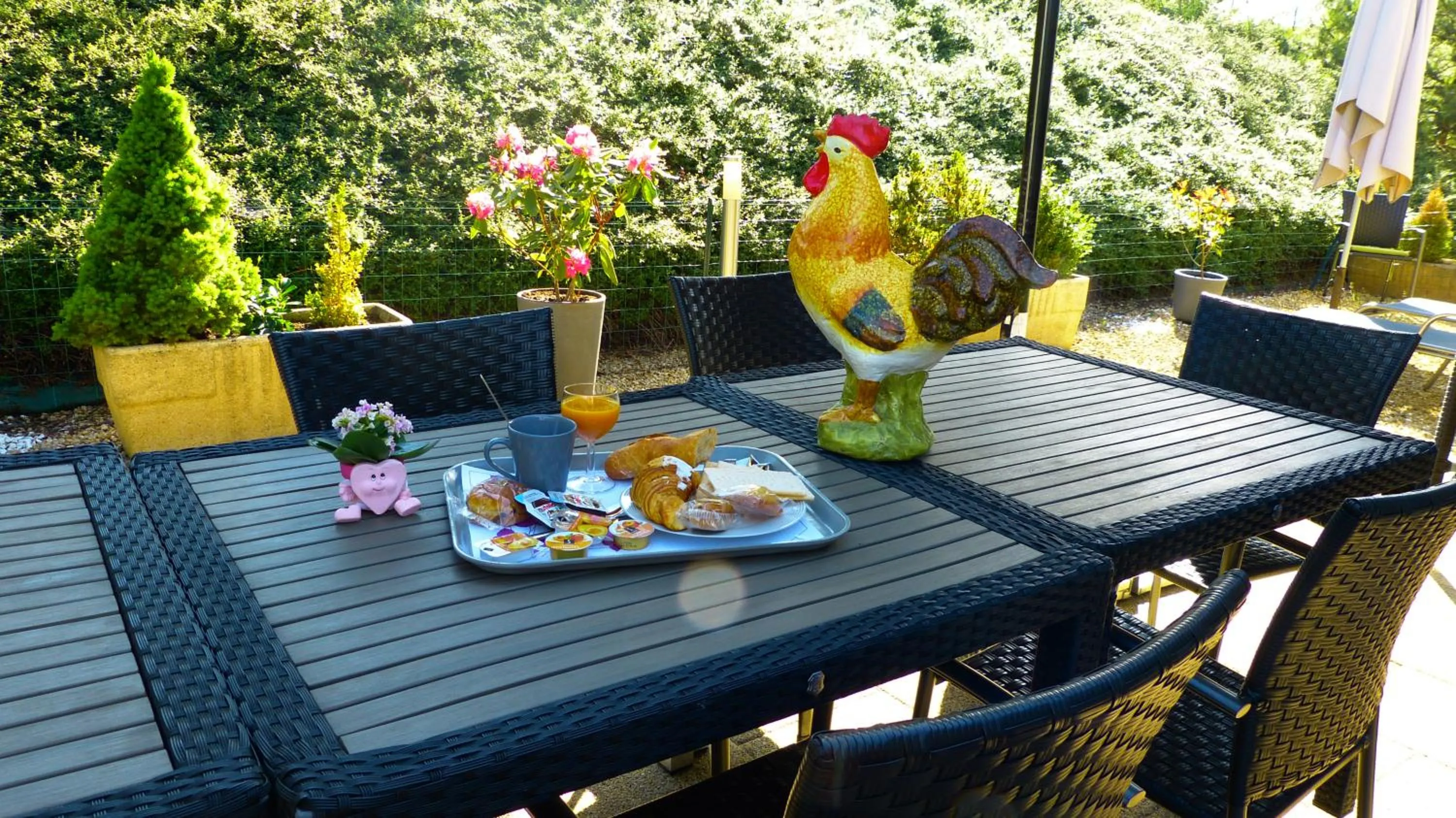 Patio in Hotel Premium