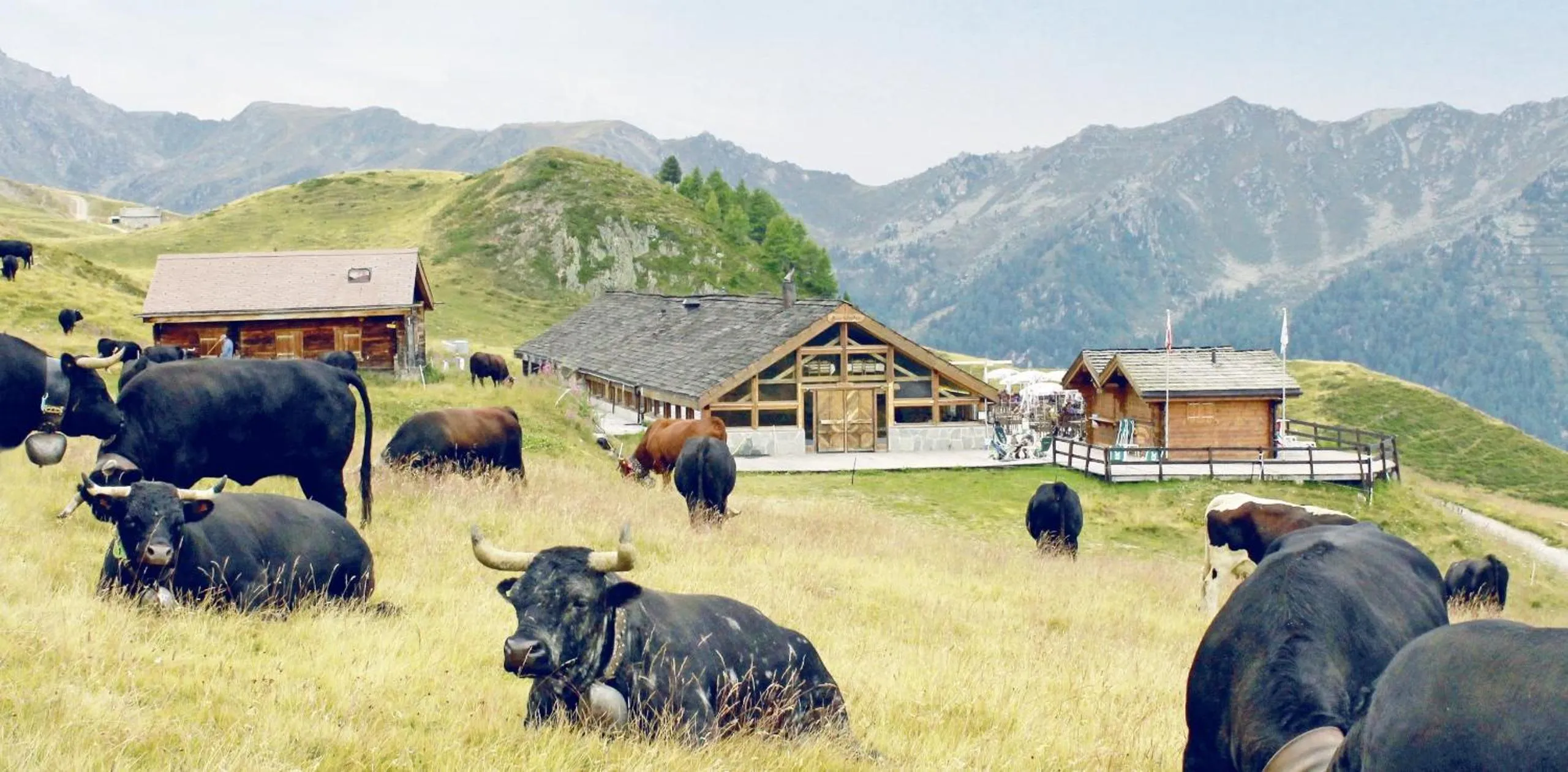 Other in Hôtel Chalet Royal