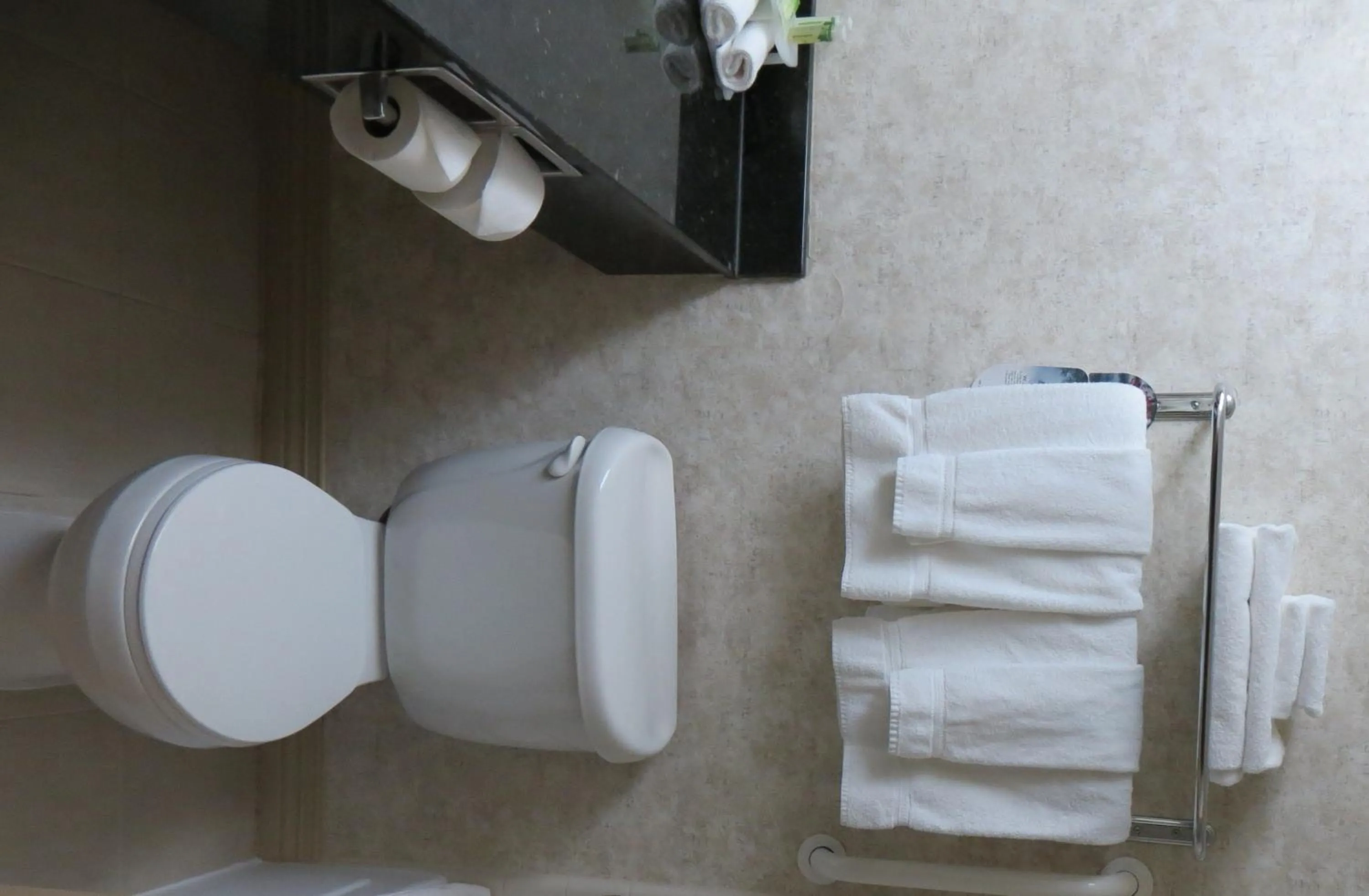 Toilet in Holiday Inn Express Hotel & Suites - Concord by IHG