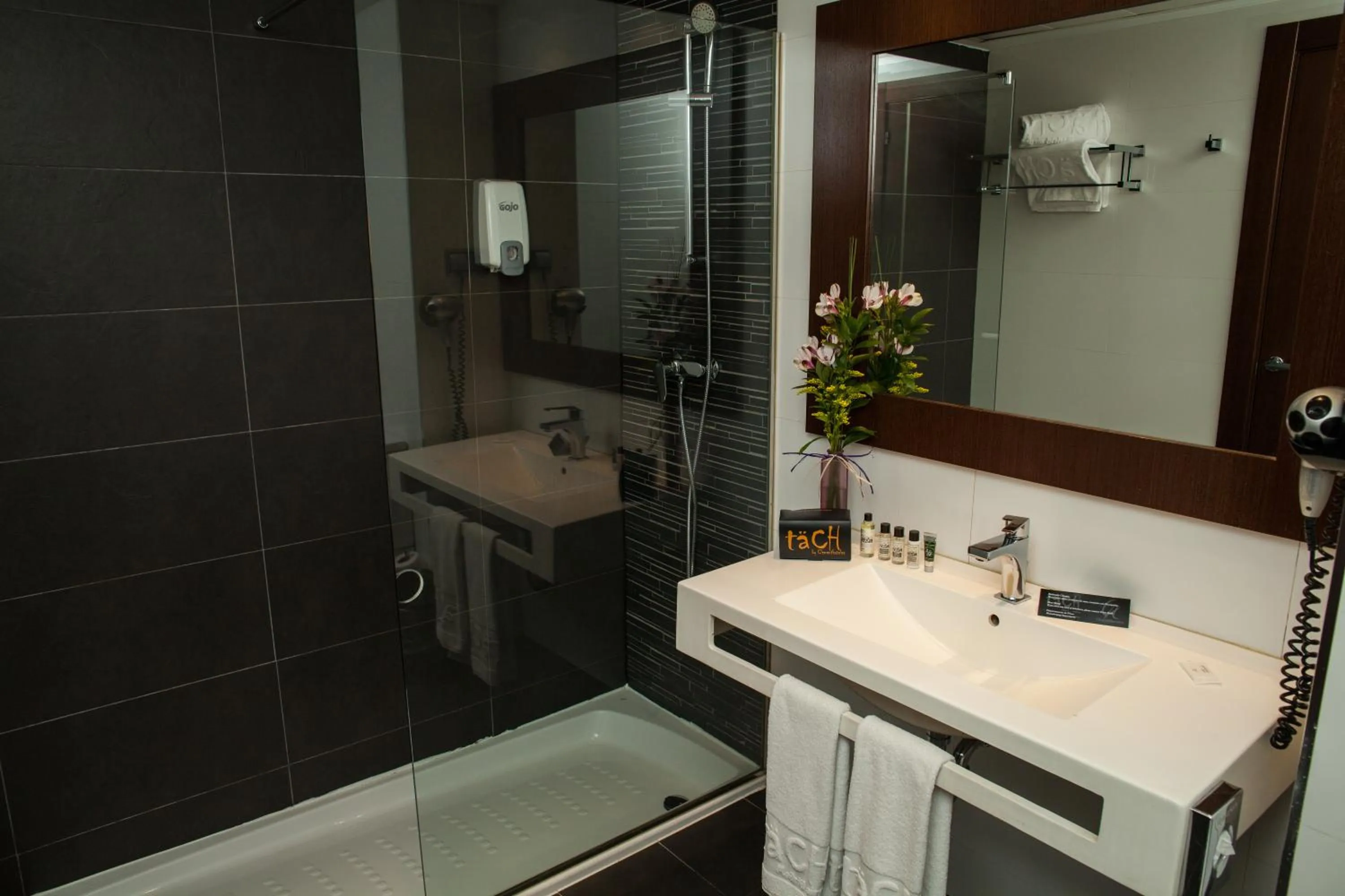 Other in TaCH Madrid Airport