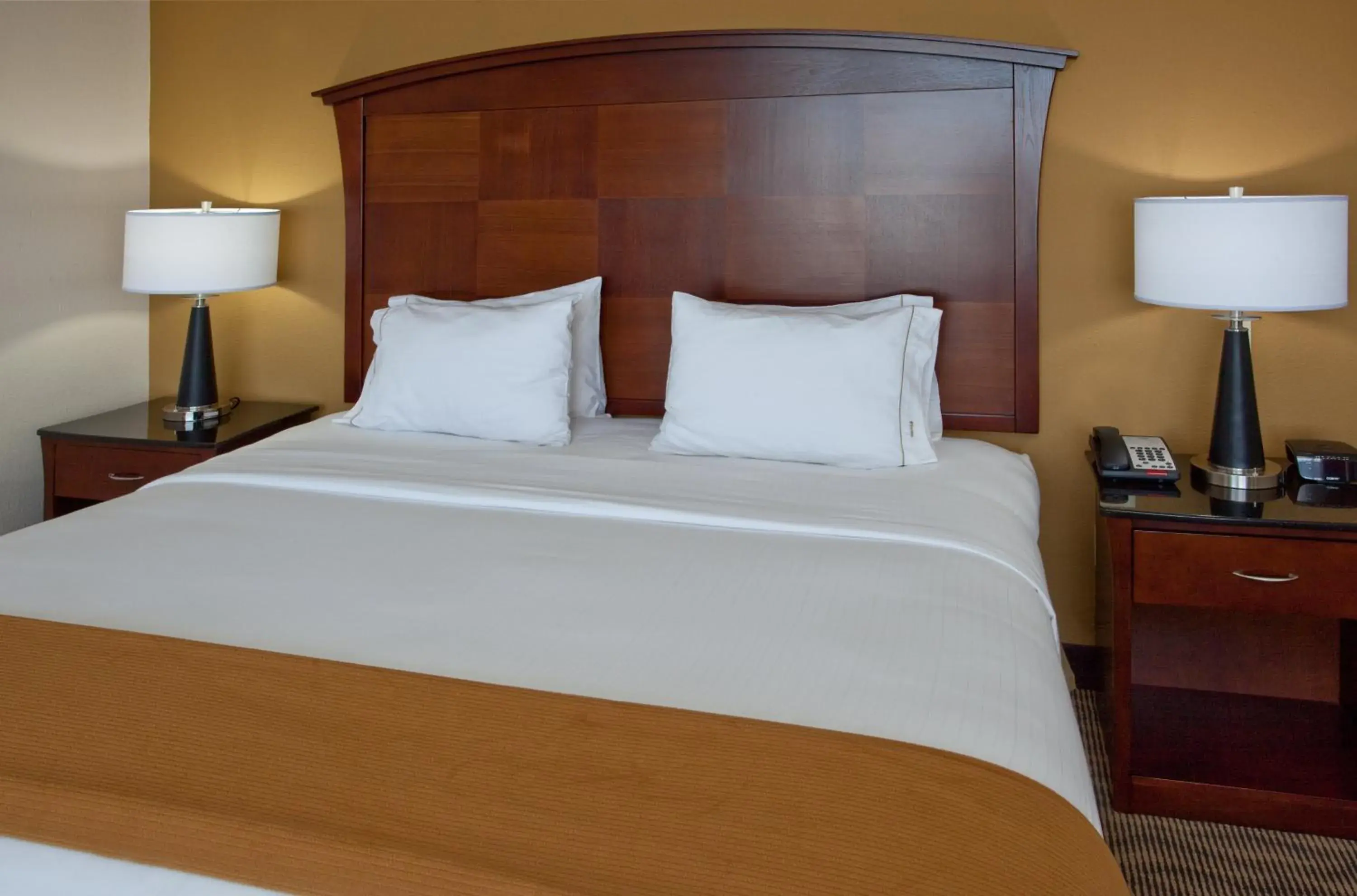 King Suite in Holiday Inn Express & Suites Austin South-Buda by IHG King Suite in Holiday Inn Express & Suites Austin South-Buda by IHG