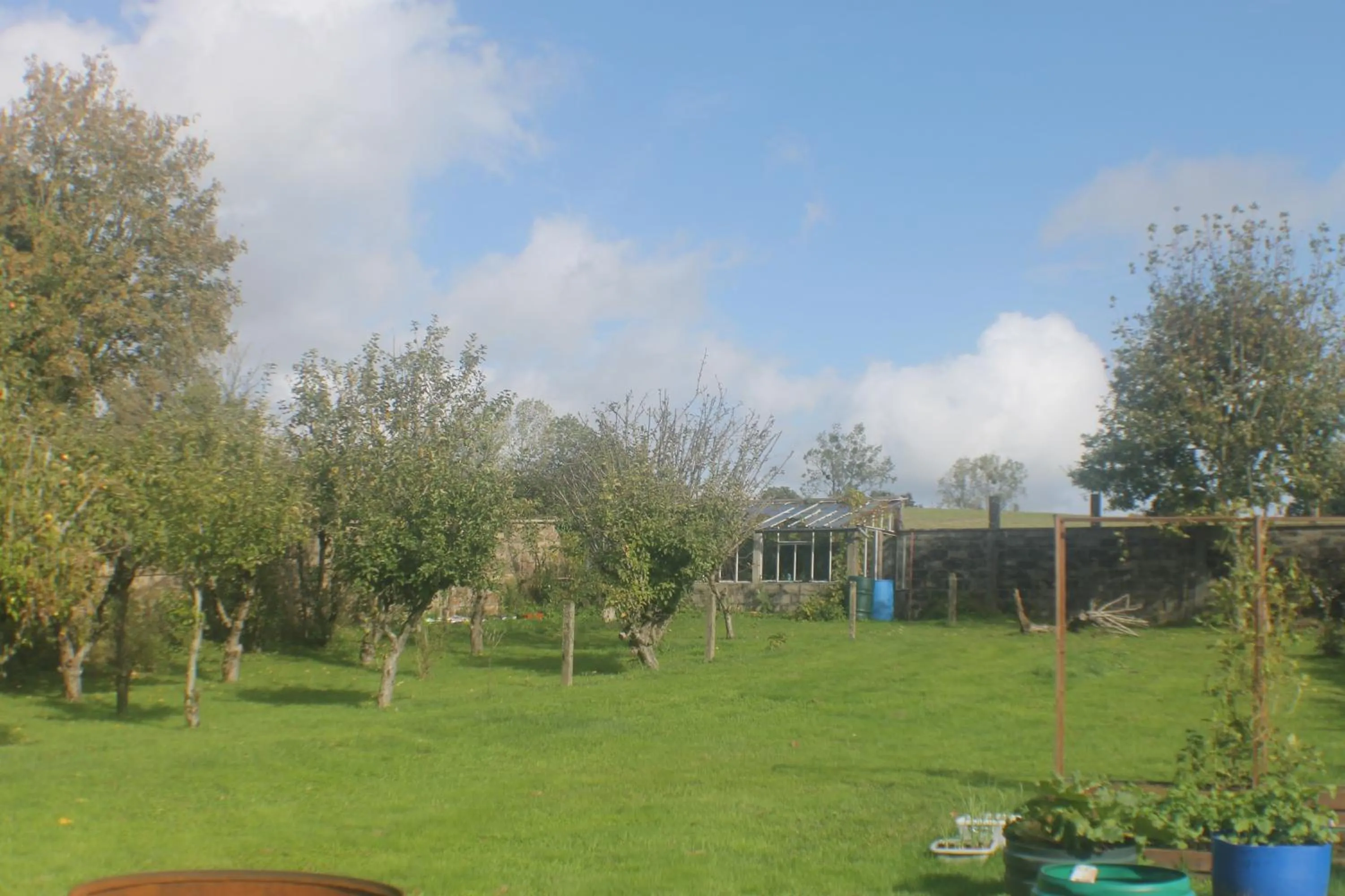 Garden in Walnut House
