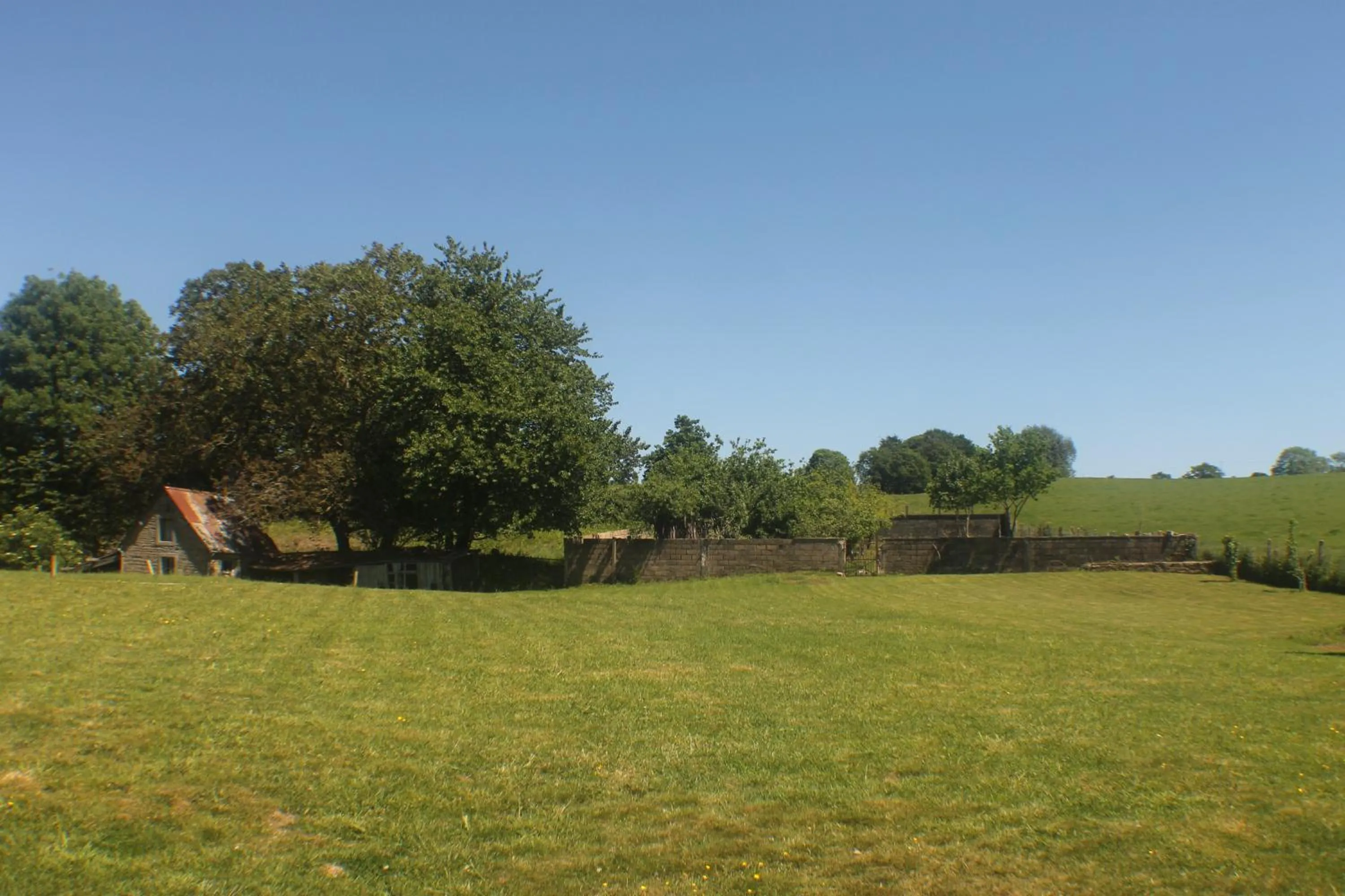 Garden in Walnut House