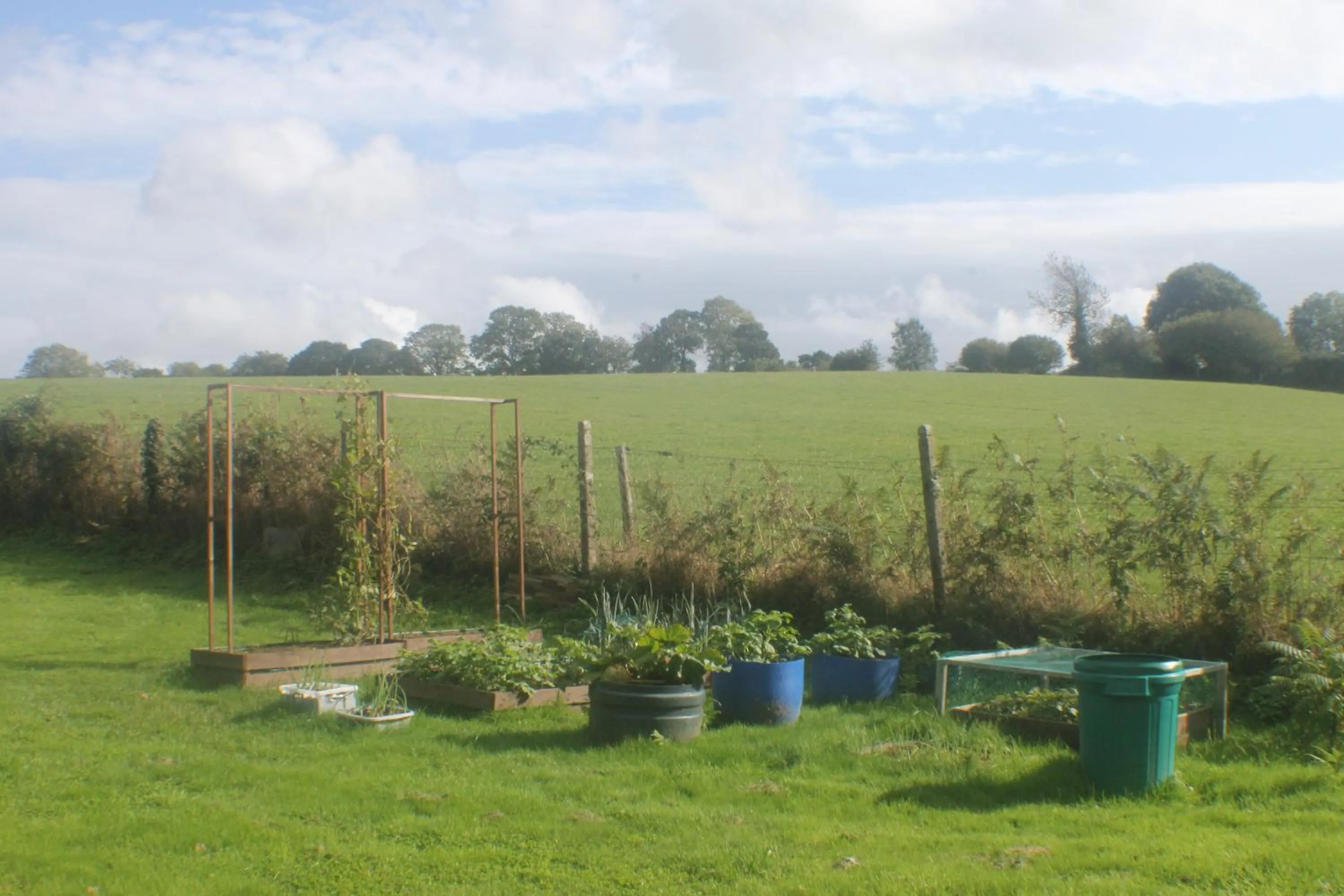 Natural landscape in Walnut House