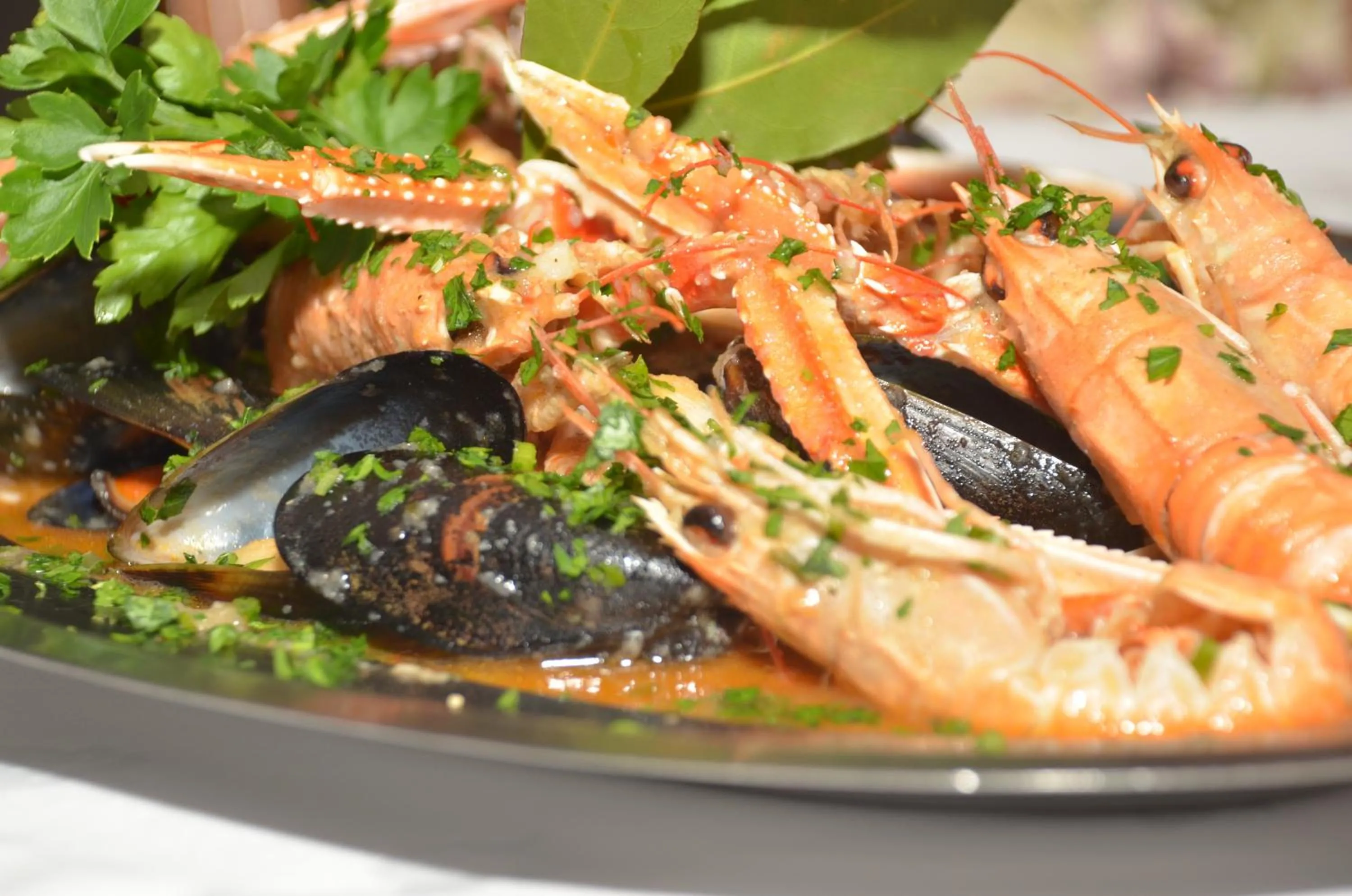 Restaurant/places to eat in Apartment Patricia