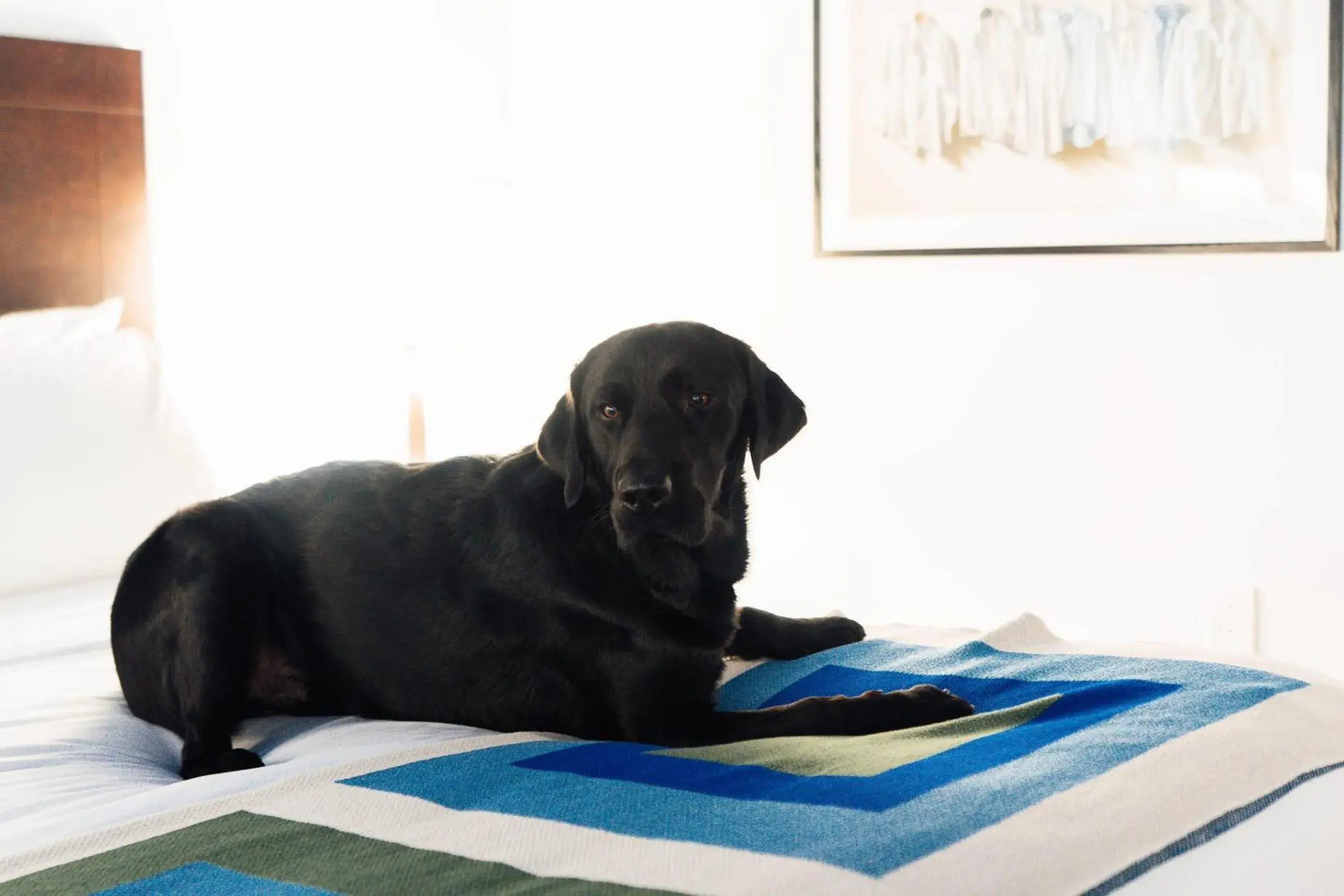 Bedroom in Hotel Downstreet, an Ascend Collection Hotel Bedroom in Hotel Downstreet, an Ascend Collection Hotel
