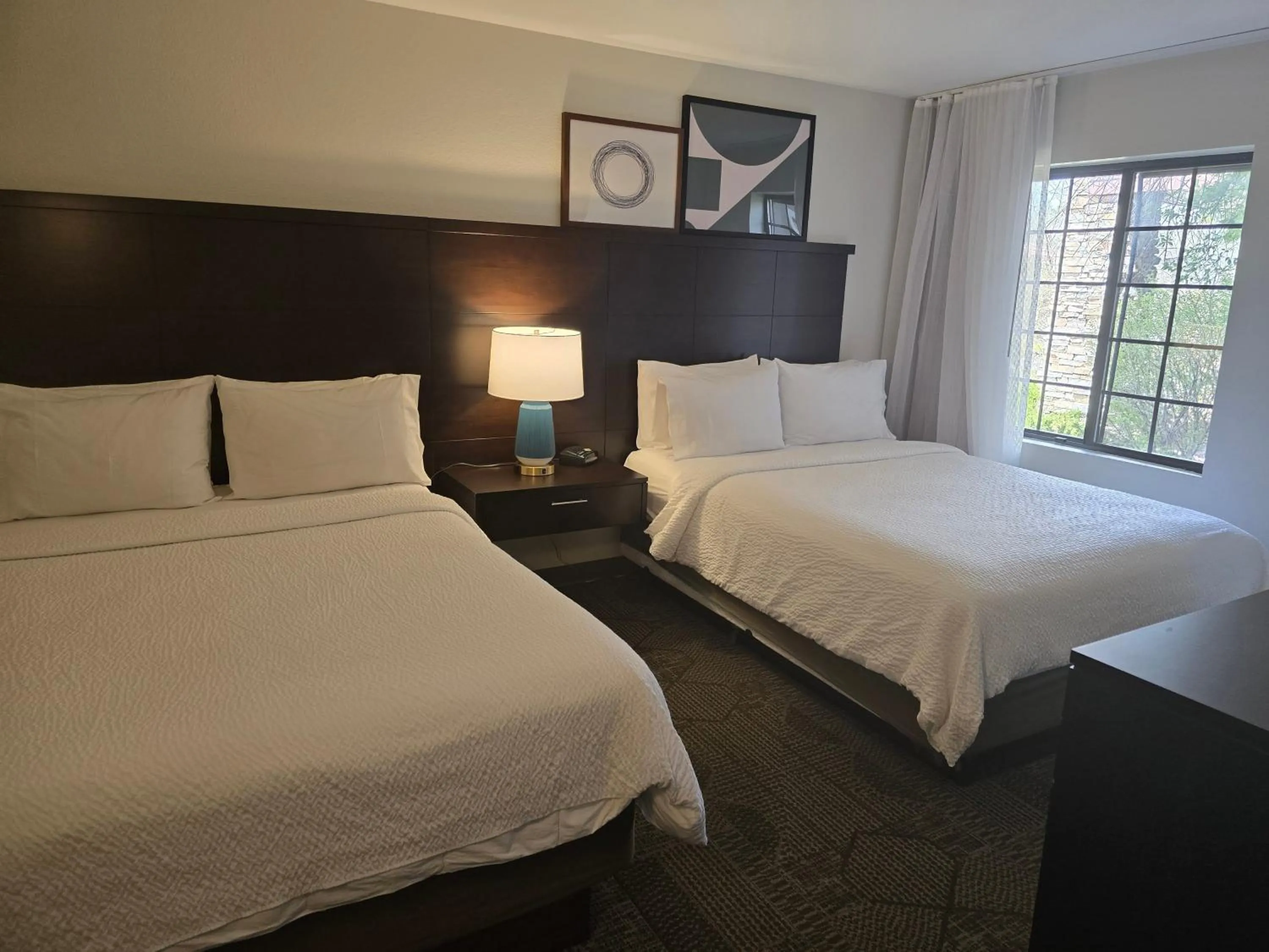 Photo of the whole room, Bed in Staybridge Suites Colorado Springs North by IHG