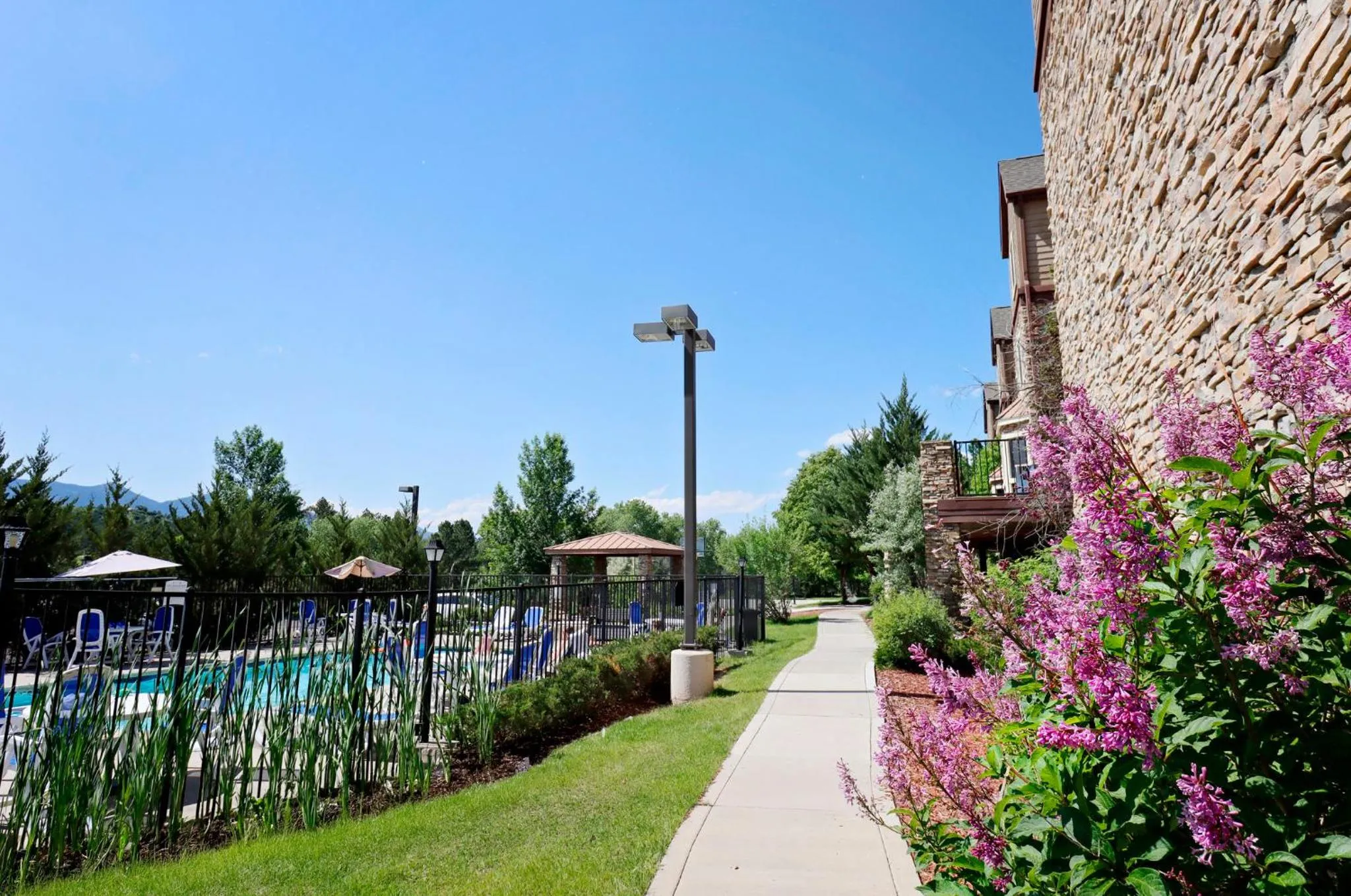 Swimming pool in Staybridge Suites Colorado Springs North by IHG