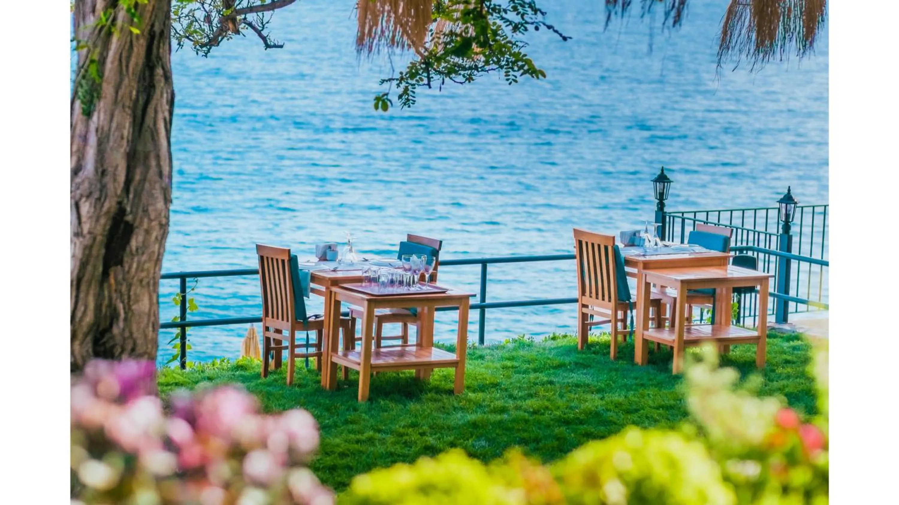 Restaurant/places to eat in Sardunya Andifli Otel