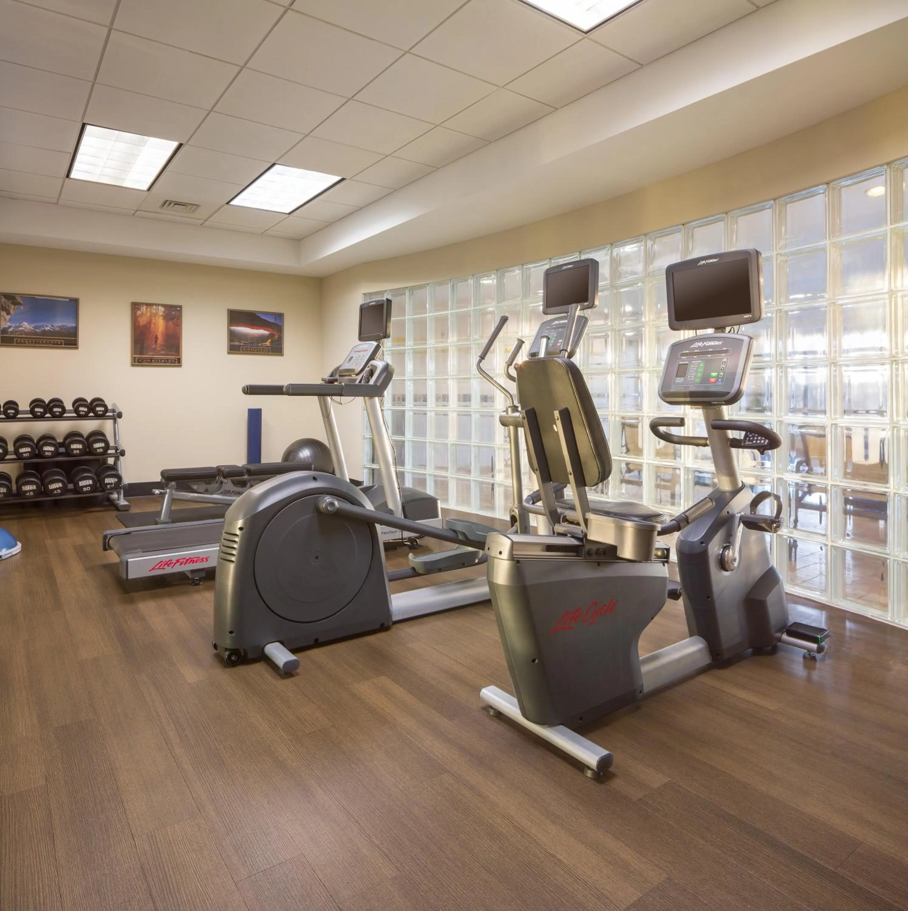 Fitness centre/facilities in Holiday Inn Manchester Airport by IHG