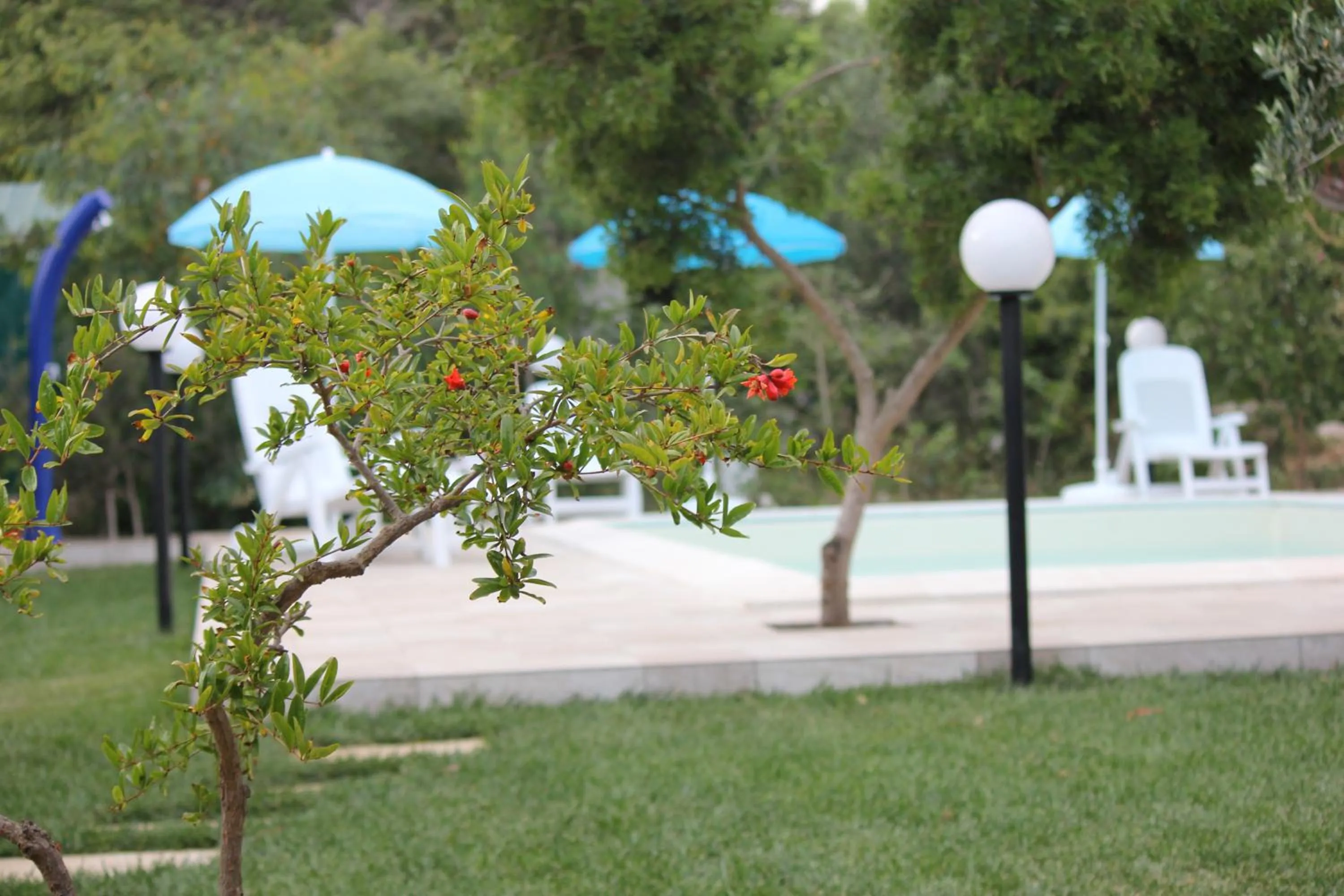 Photo of the whole room in Verdeblu