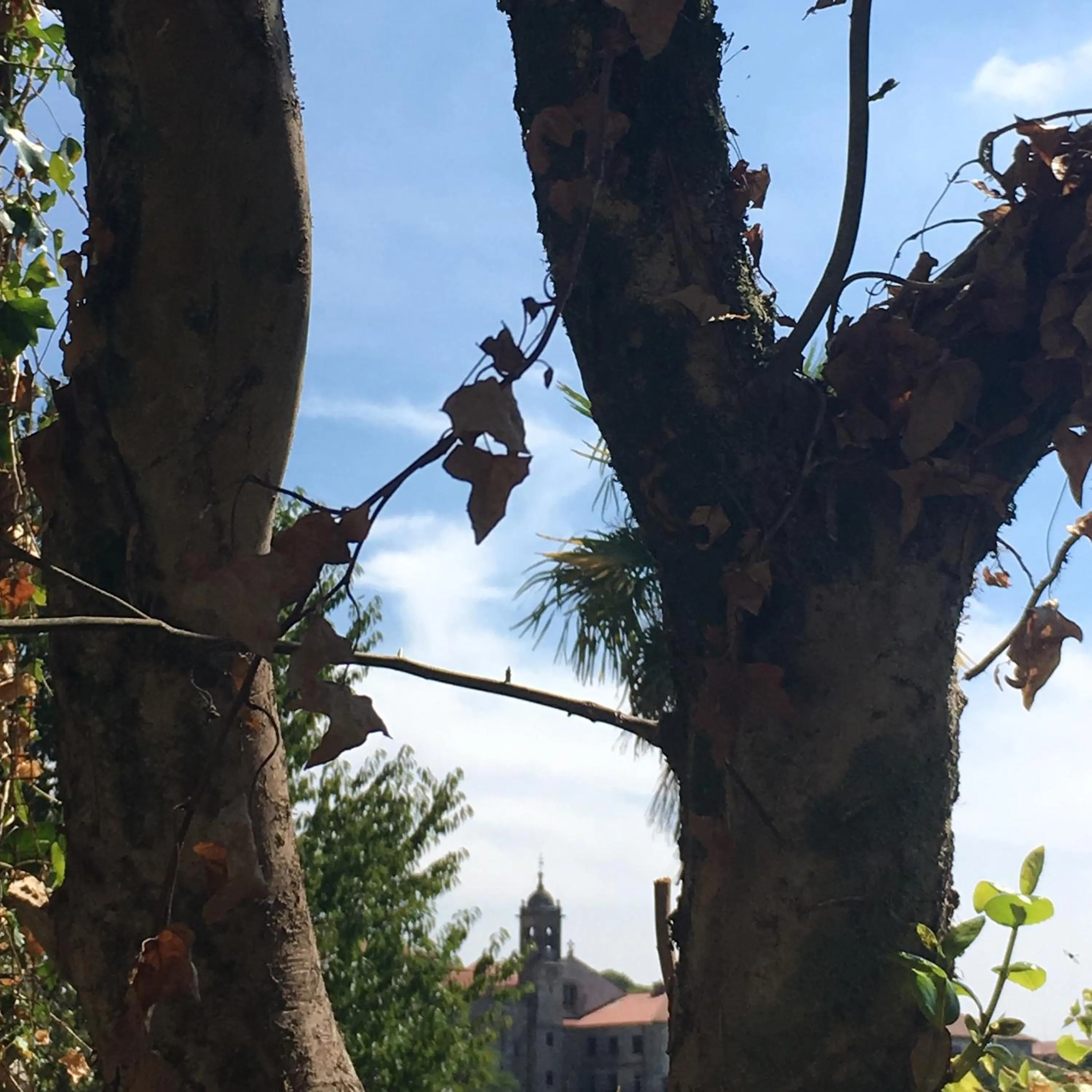 Day in Pensión O Xardin de Julia